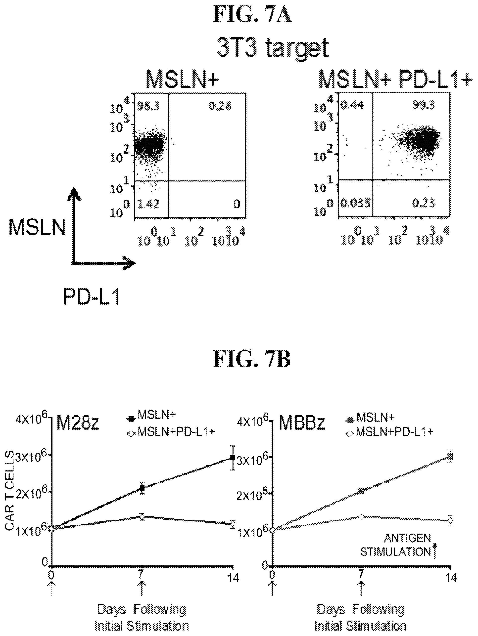 Patent US12139524 Figure 19 – Immune cell compositions and methods of use