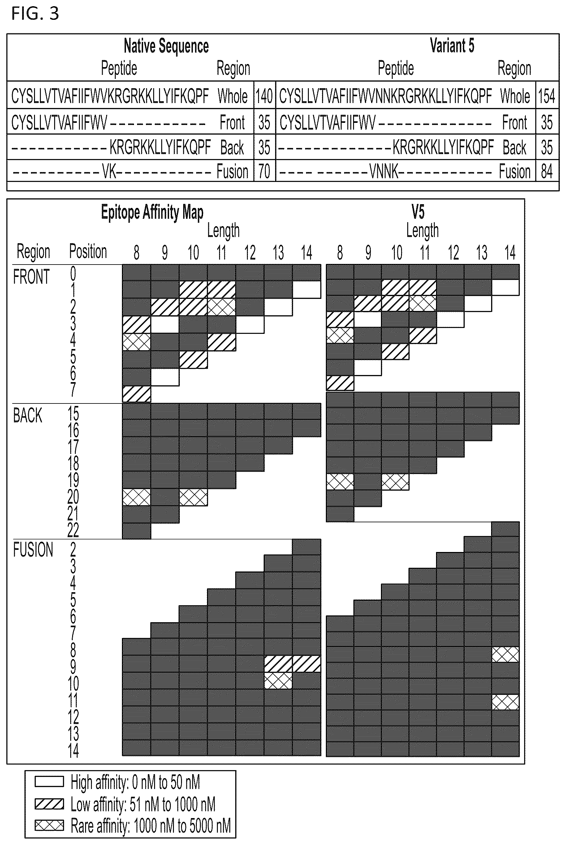 Patent US12139526 Figure 3 – Modified chimeric receptors and related compositions and methods