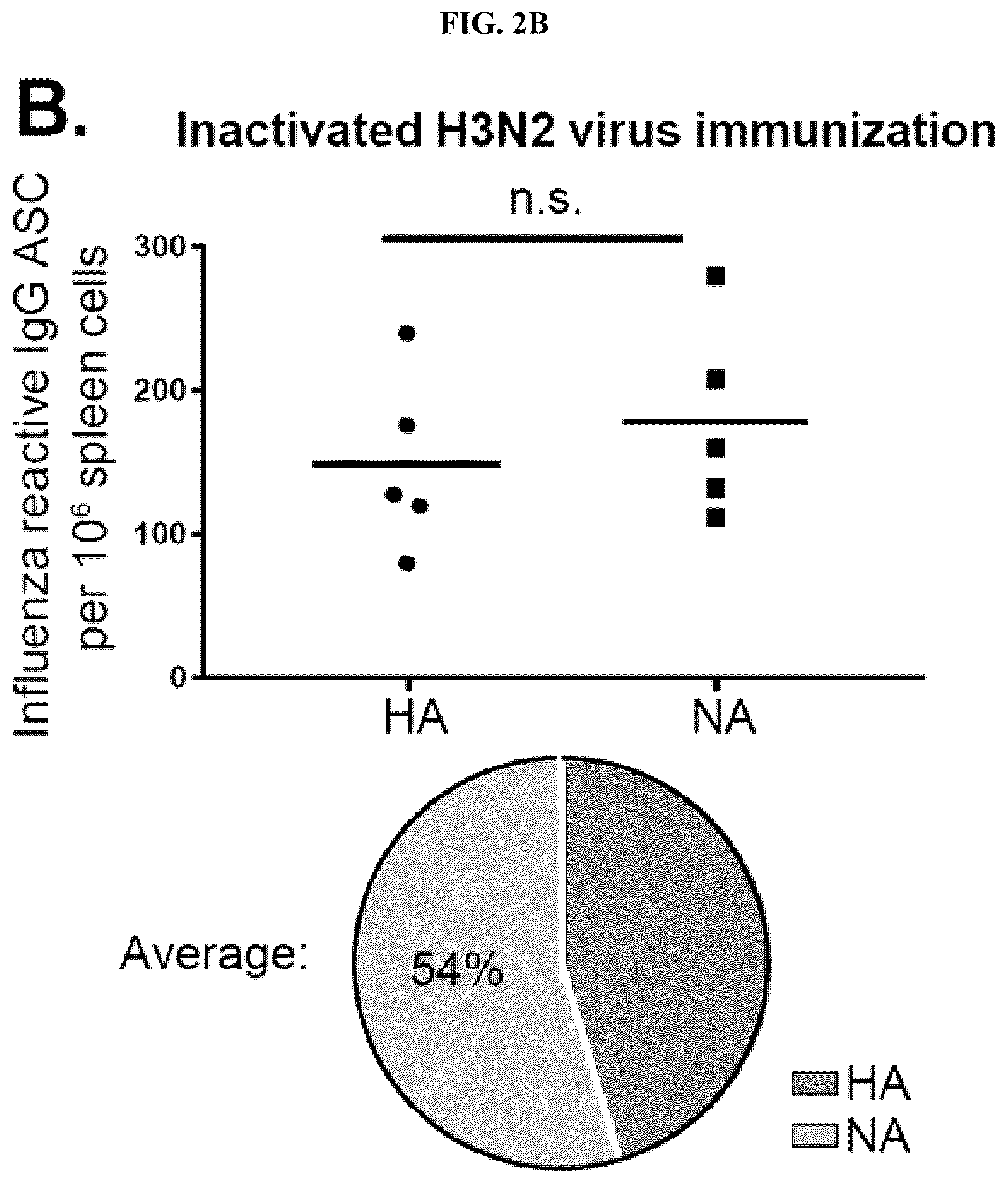 Patent US12139527 Figure 4 – Methods and composition for neutralization of influenza