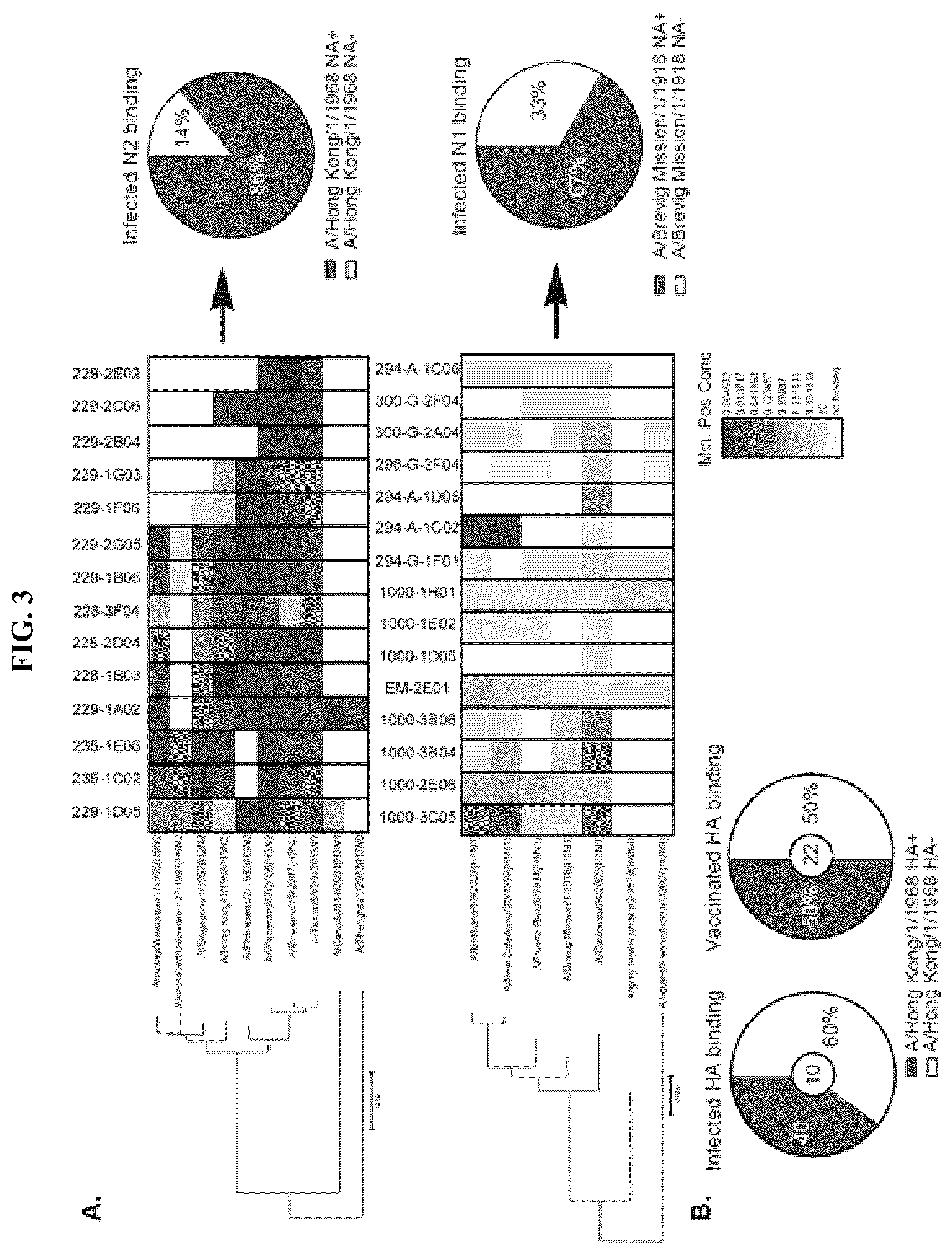 Patent US12139527 Figure 6 – Methods and composition for neutralization of influenza