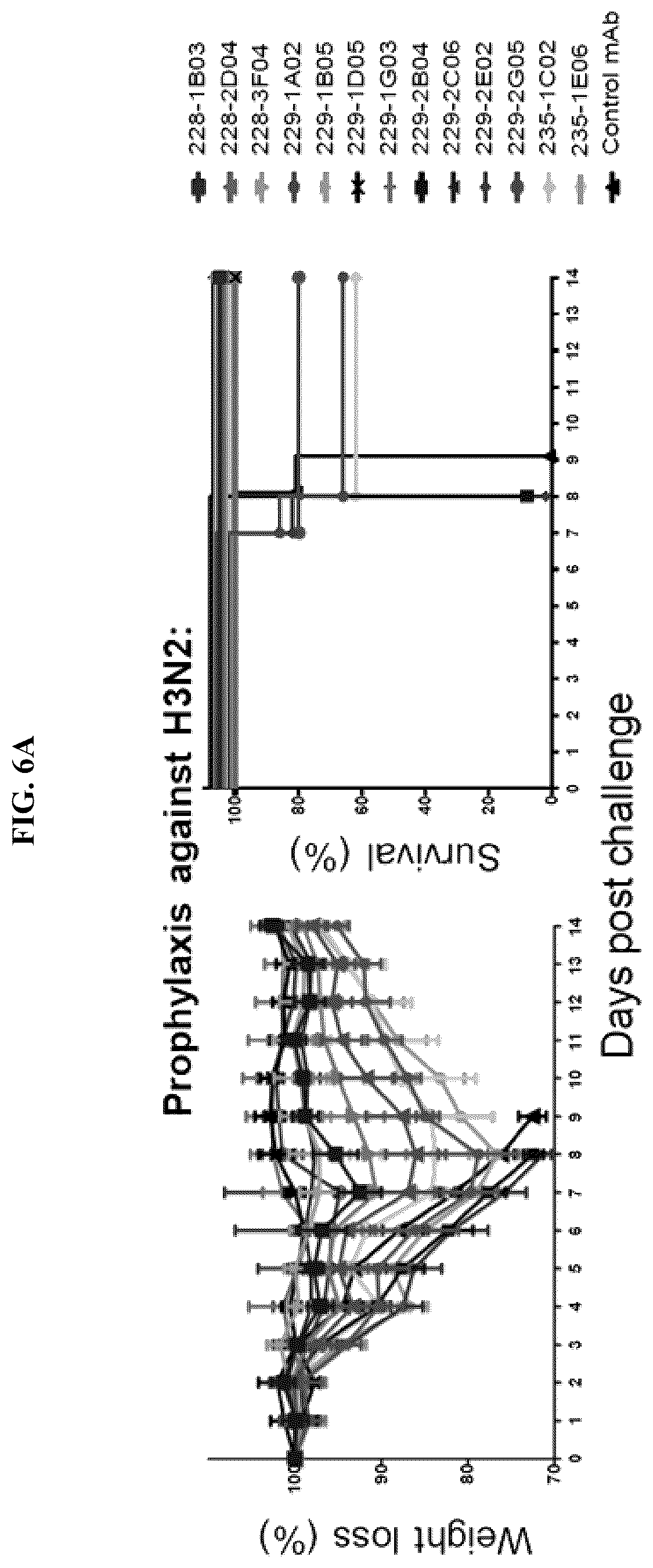 Patent US12139527 Figure 14 – Methods and composition for neutralization of influenza