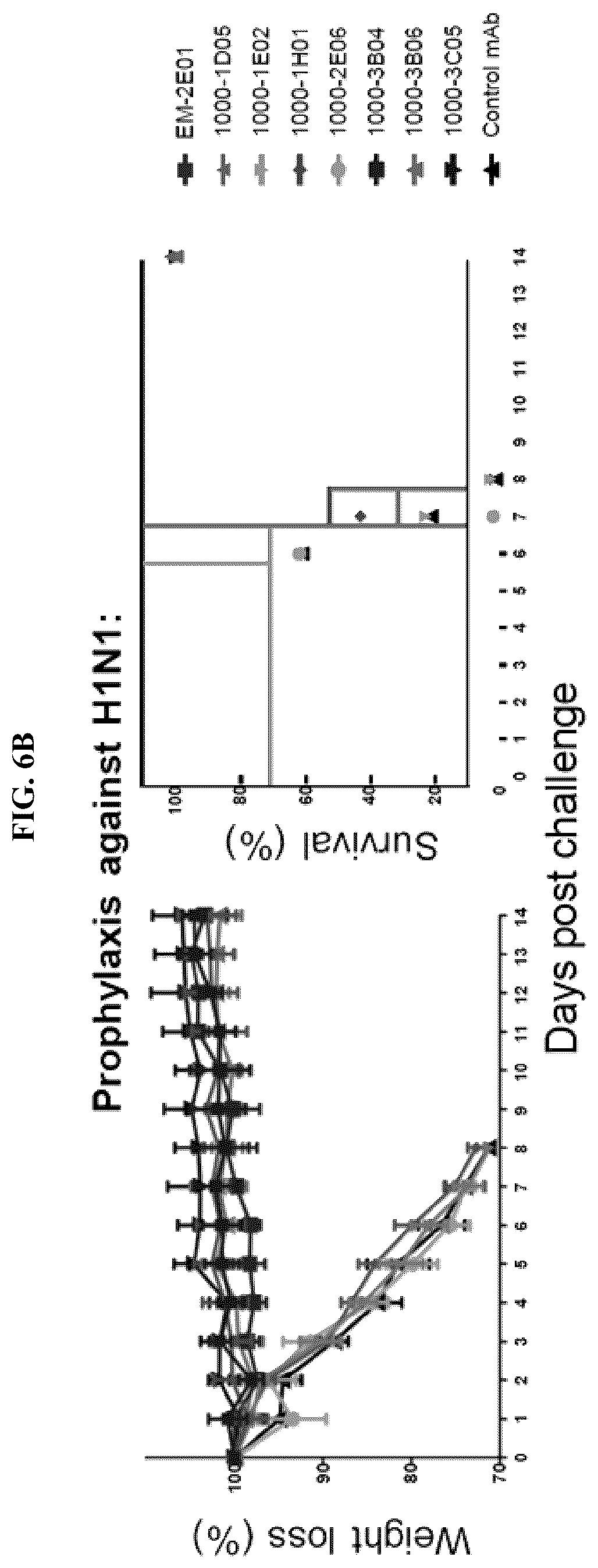 Patent US12139527 Figure 15 – Methods and composition for neutralization of influenza