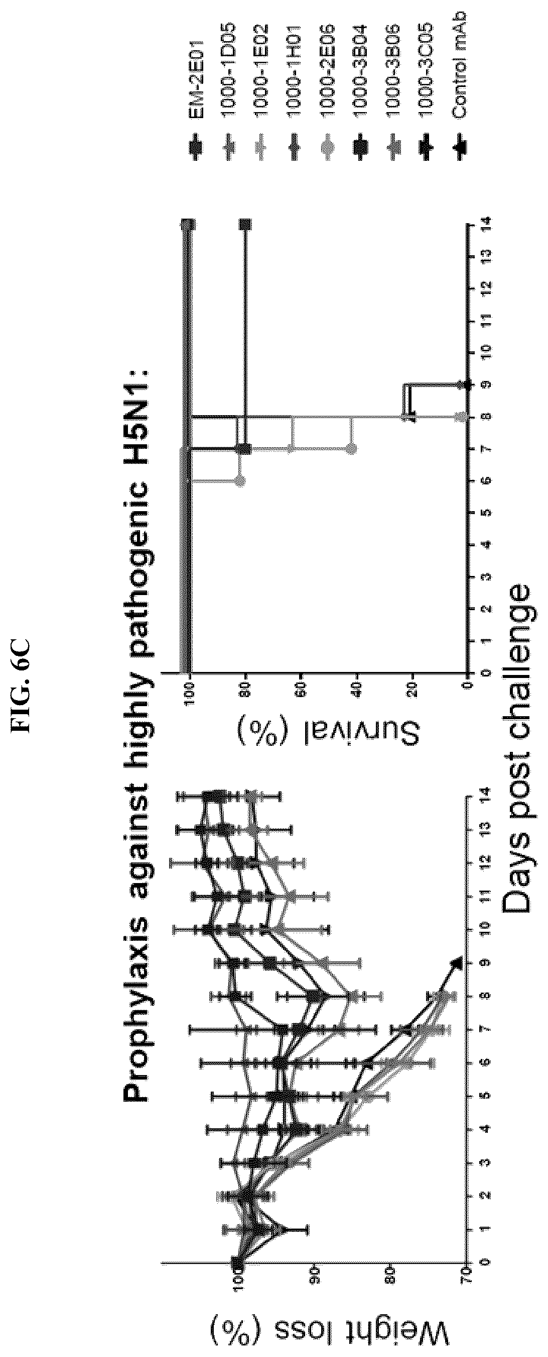 Patent US12139527 Figure 16 – Methods and composition for neutralization of influenza