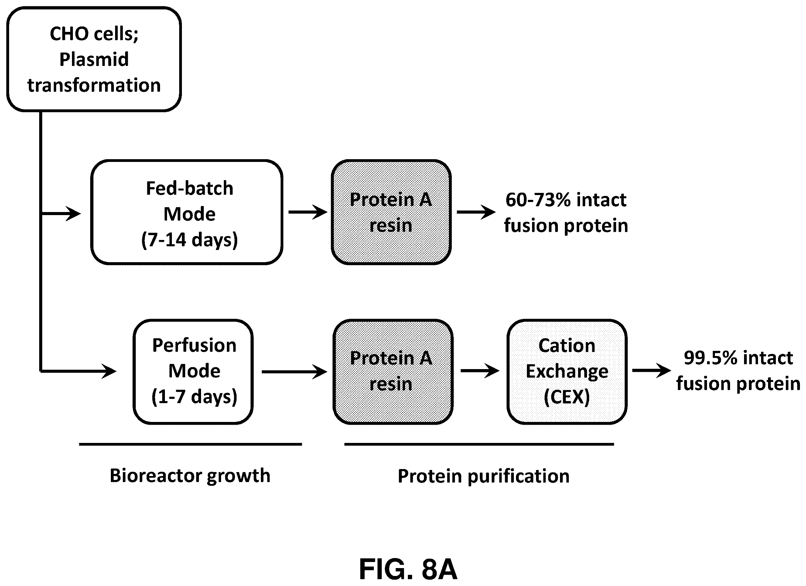 Patent US12139529 Figure 12 – Antibody-peptide fusion proteins for treating amyloid disorders