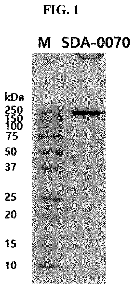 Patent US12139530 Figure 1 – Bispecific antibody specifically binding to IL-17A and TNF-α