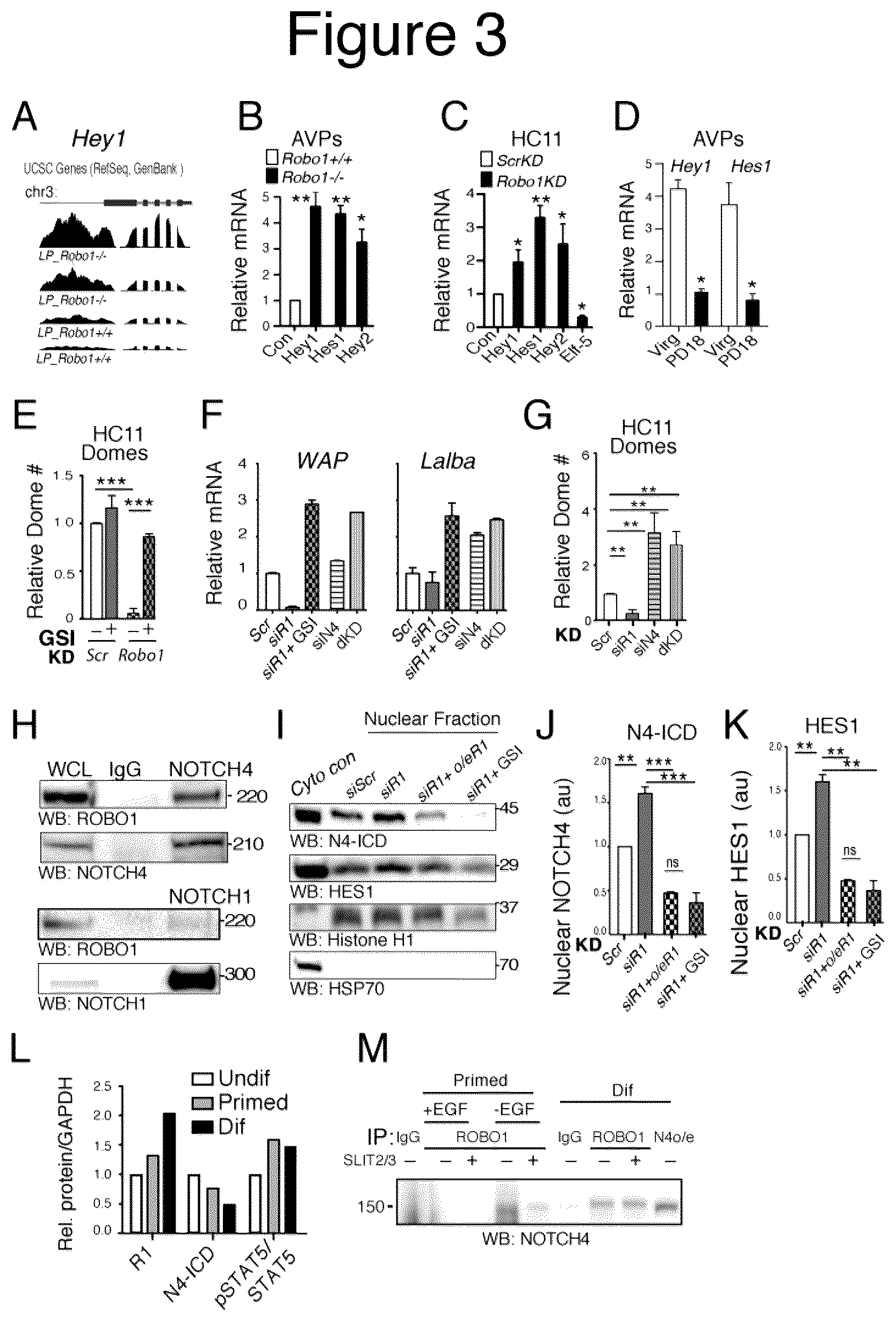 Patent US12139531 Figure 3 – Compositions and methods useful in promoting milk production