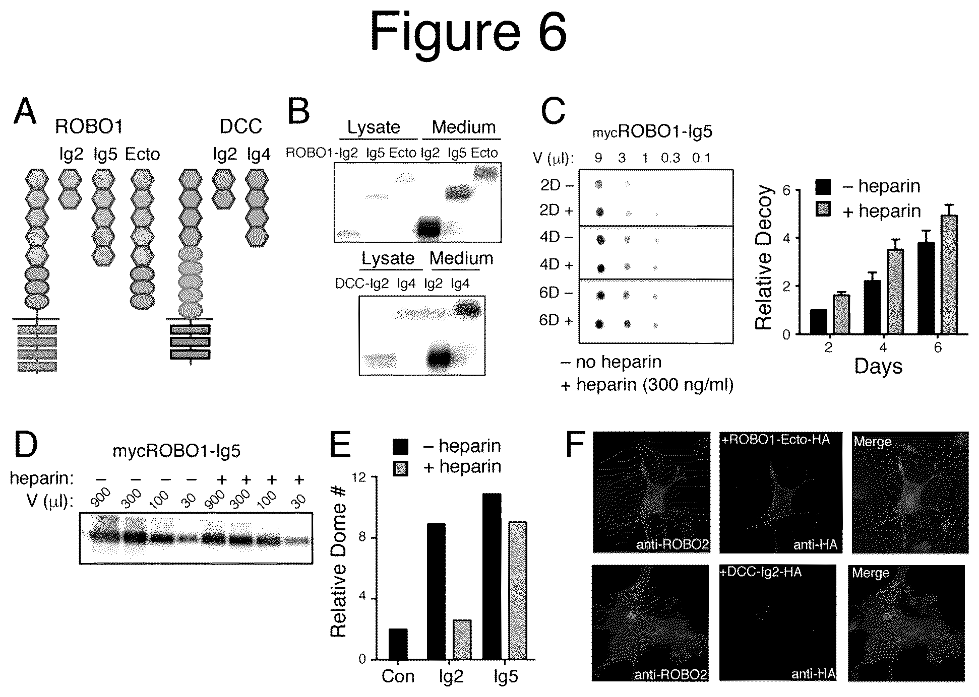 Patent US12139531 Figure 6 – Compositions and methods useful in promoting milk production