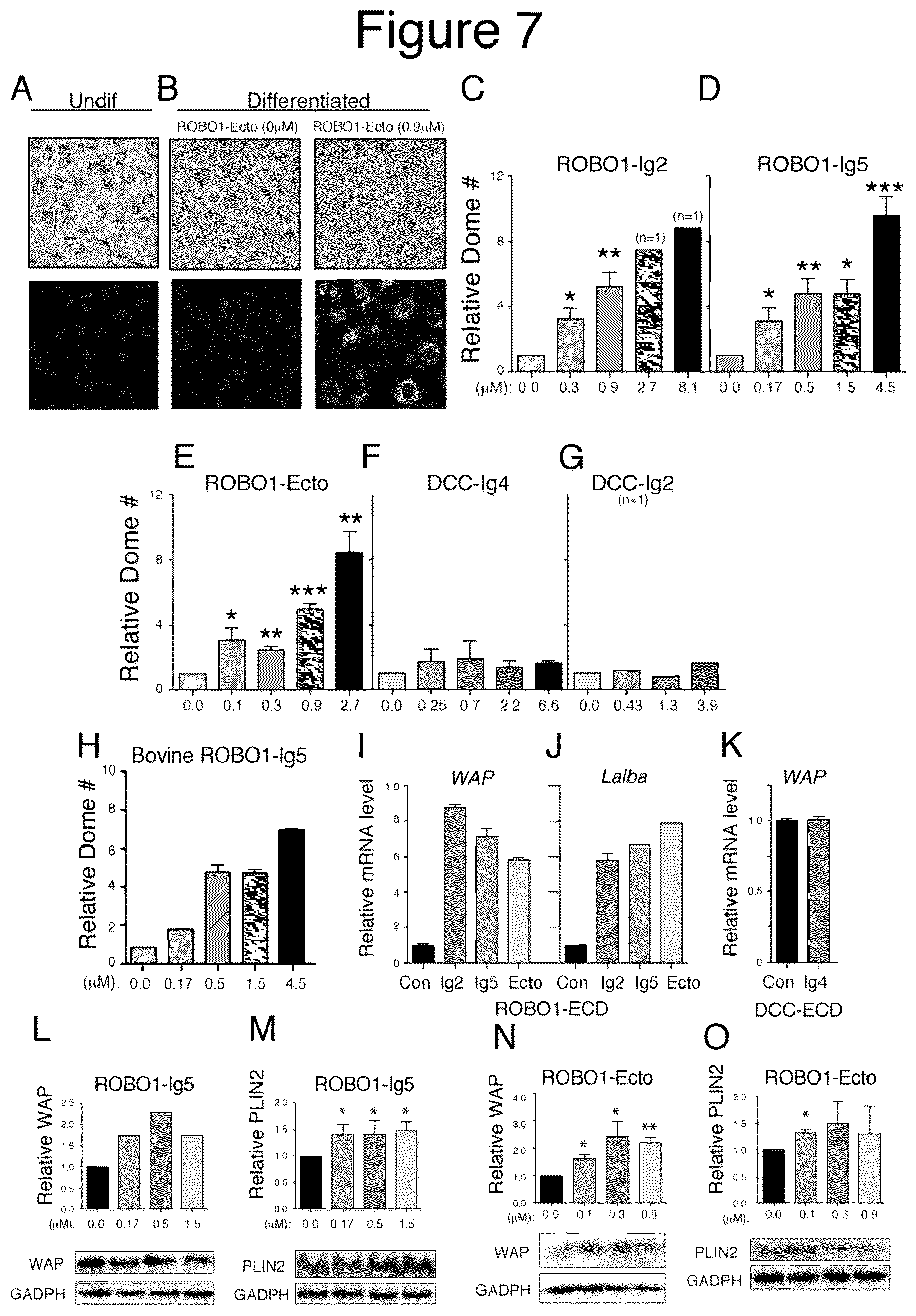 Patent US12139531 Figure 7 – Compositions and methods useful in promoting milk production