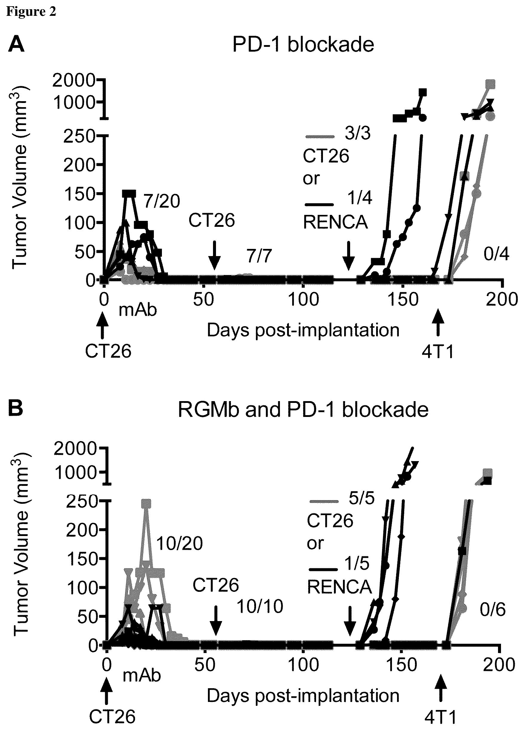 Patent US12139535 Figure 2 – Methods for upregulating immune responses using combinations of anti-RGMb and anti-PD-1 agents