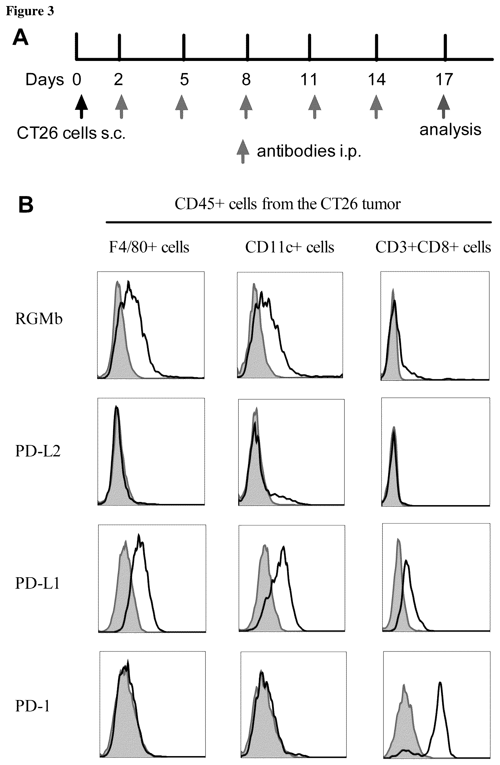 Patent US12139535 Figure 3 – Methods for upregulating immune responses using combinations of anti-RGMb and anti-PD-1 agents