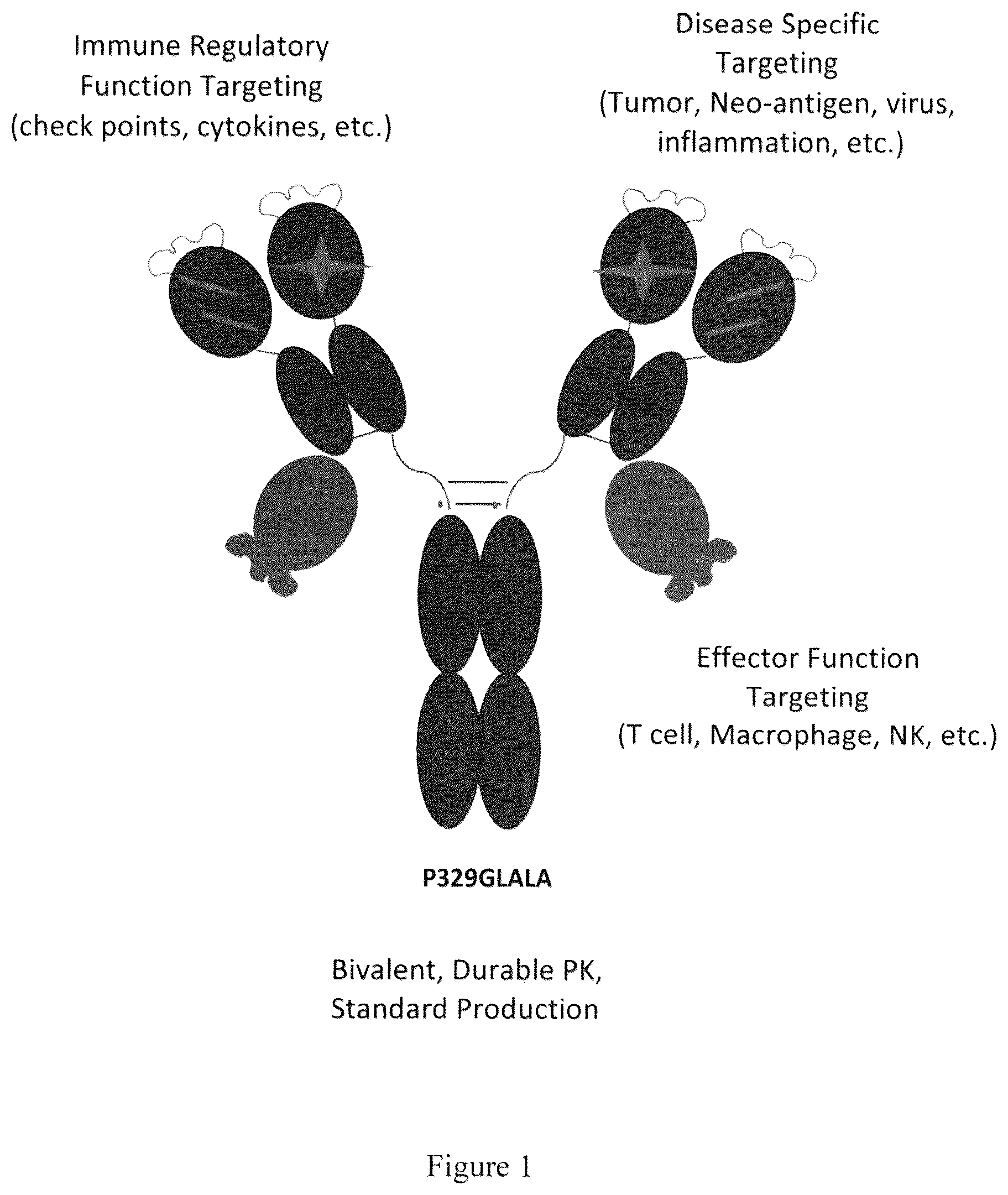 Patent US12139536 — Guided combinational therapeutic antibody — Figure 1
