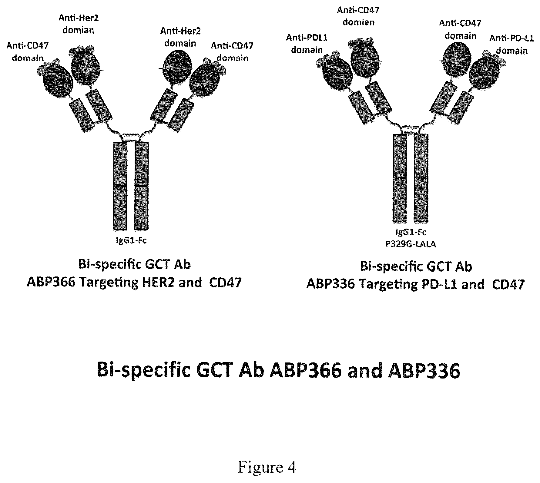 Patent US12139536 Figure 5 – Guided combinational therapeutic antibody