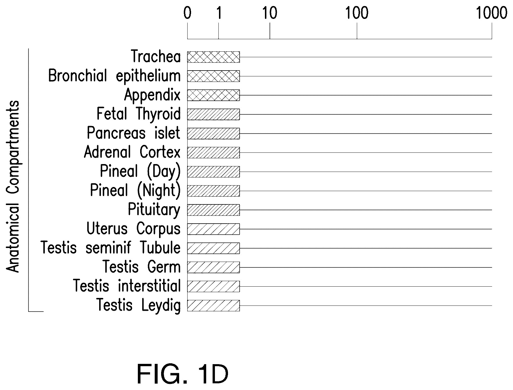 Patent US12139538 Figure 4 – Chimeric antigen receptors targeting Fc receptor-like 5 and uses thereof