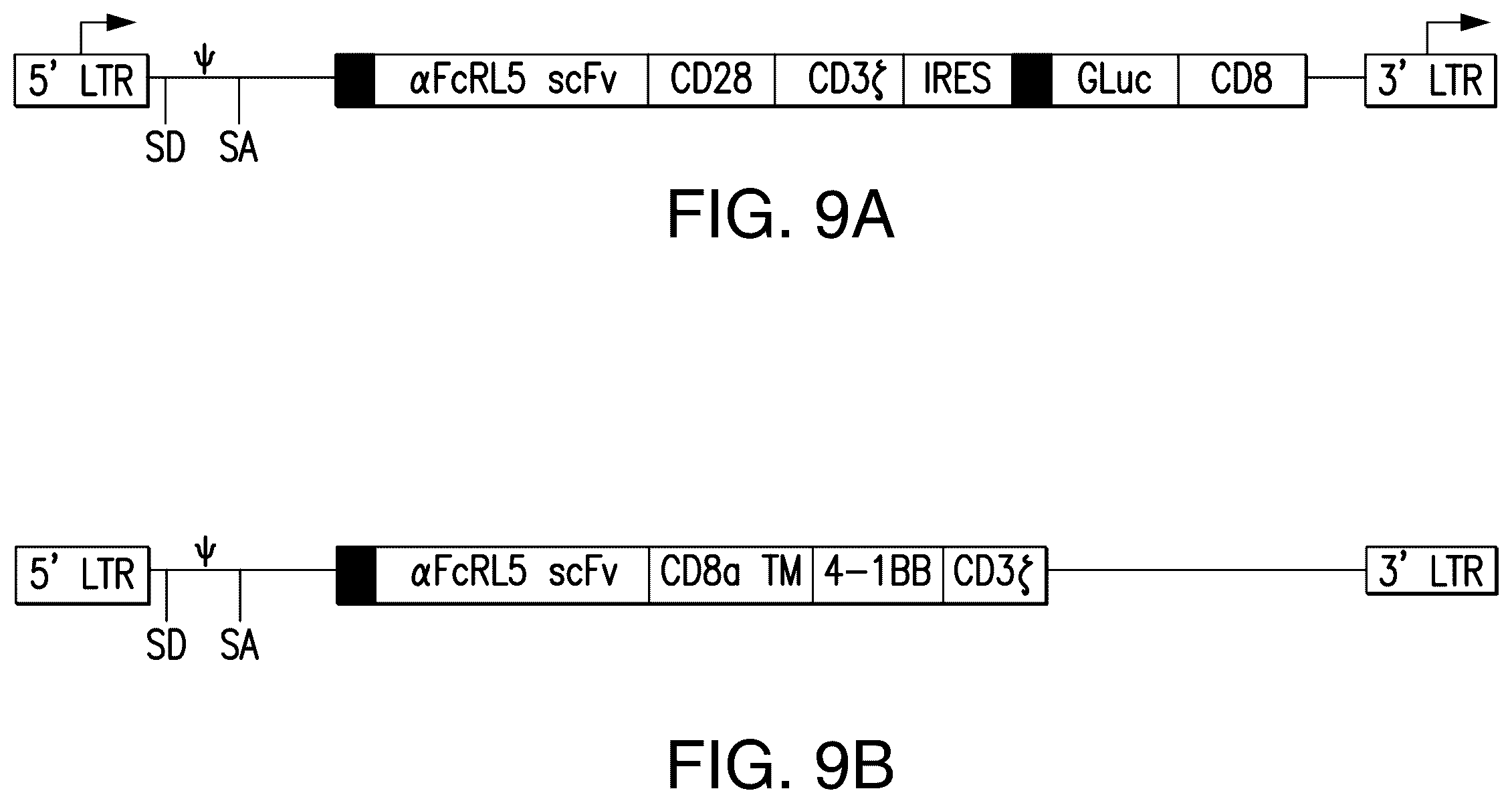Patent US12139538 Figure 17 – Chimeric antigen receptors targeting Fc receptor-like 5 and uses thereof