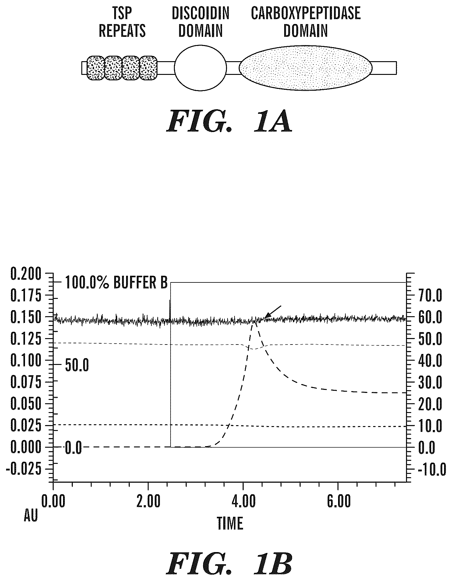 Patent US12139542 Figure 1 – Inhibitors of aortic carboxypeptidase-like protein (ACLP)