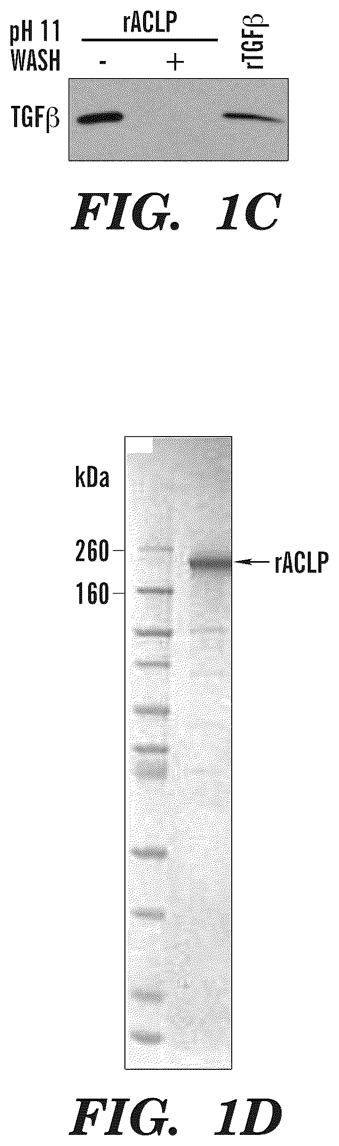 Patent US12139542 Figure 2 – Inhibitors of aortic carboxypeptidase-like protein (ACLP)