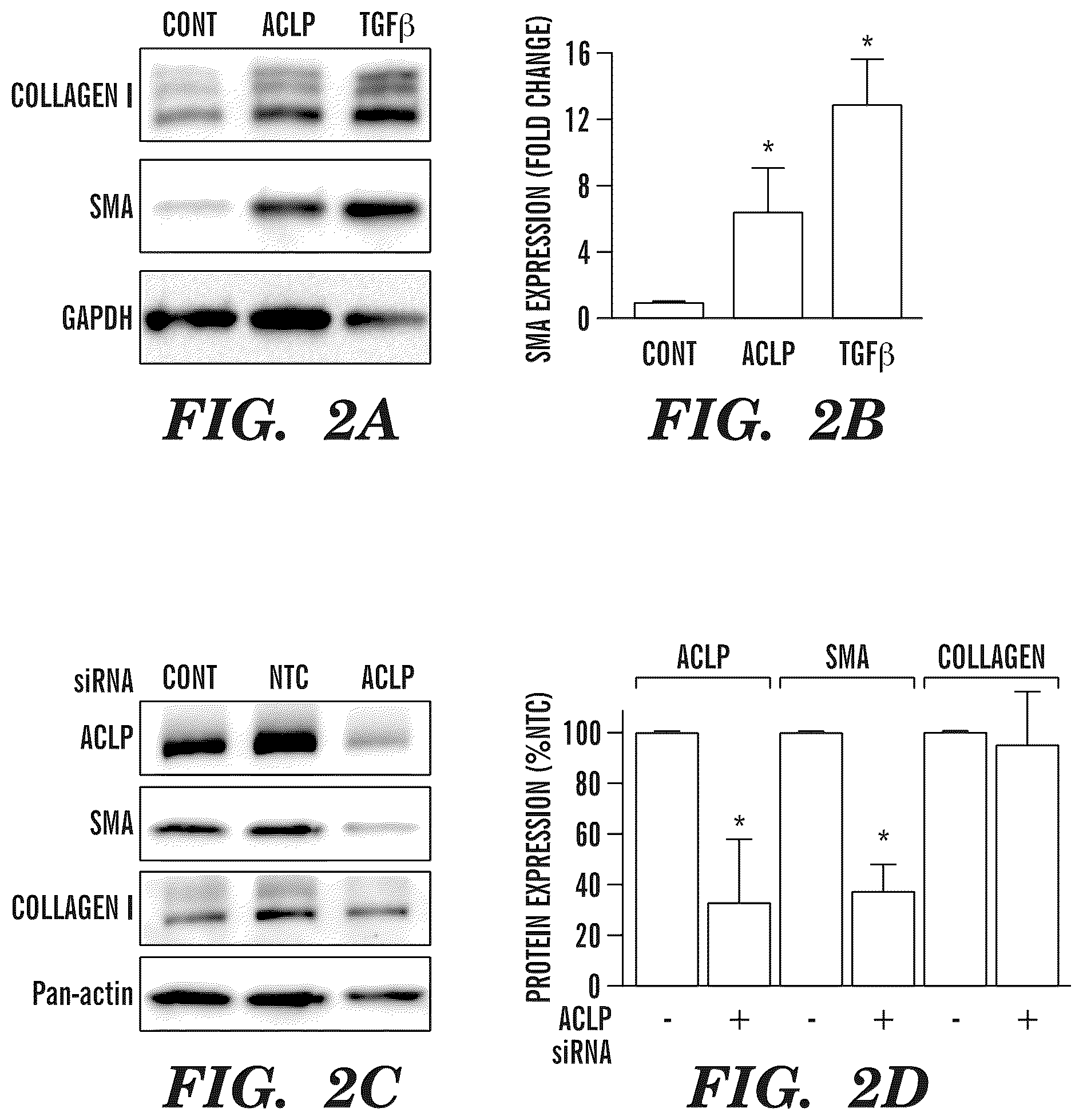Patent US12139542 Figure 3 – Inhibitors of aortic carboxypeptidase-like protein (ACLP)