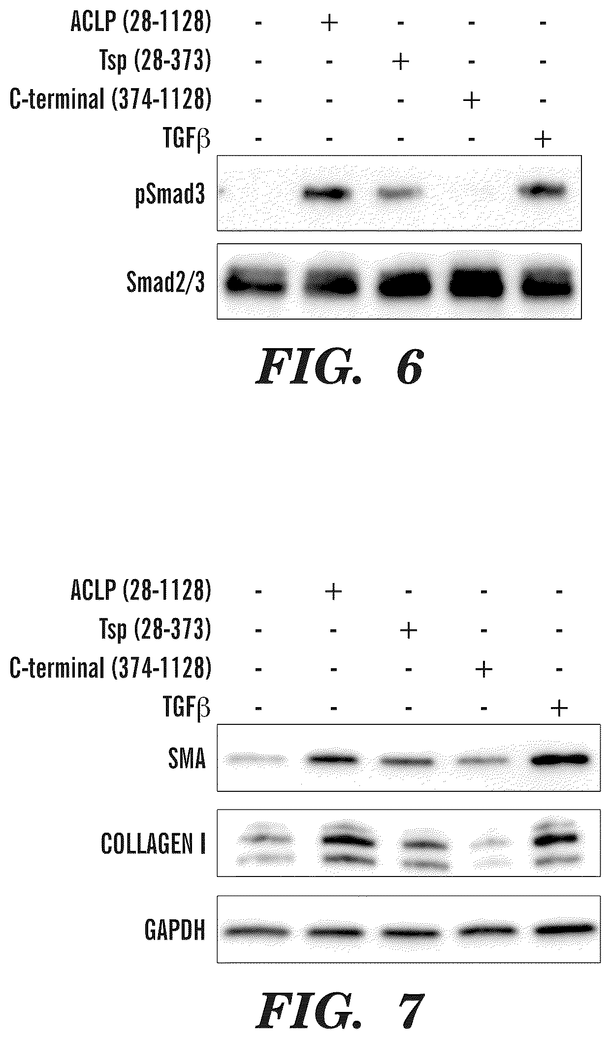 Patent US12139542 Figure 7 – Inhibitors of aortic carboxypeptidase-like protein (ACLP)