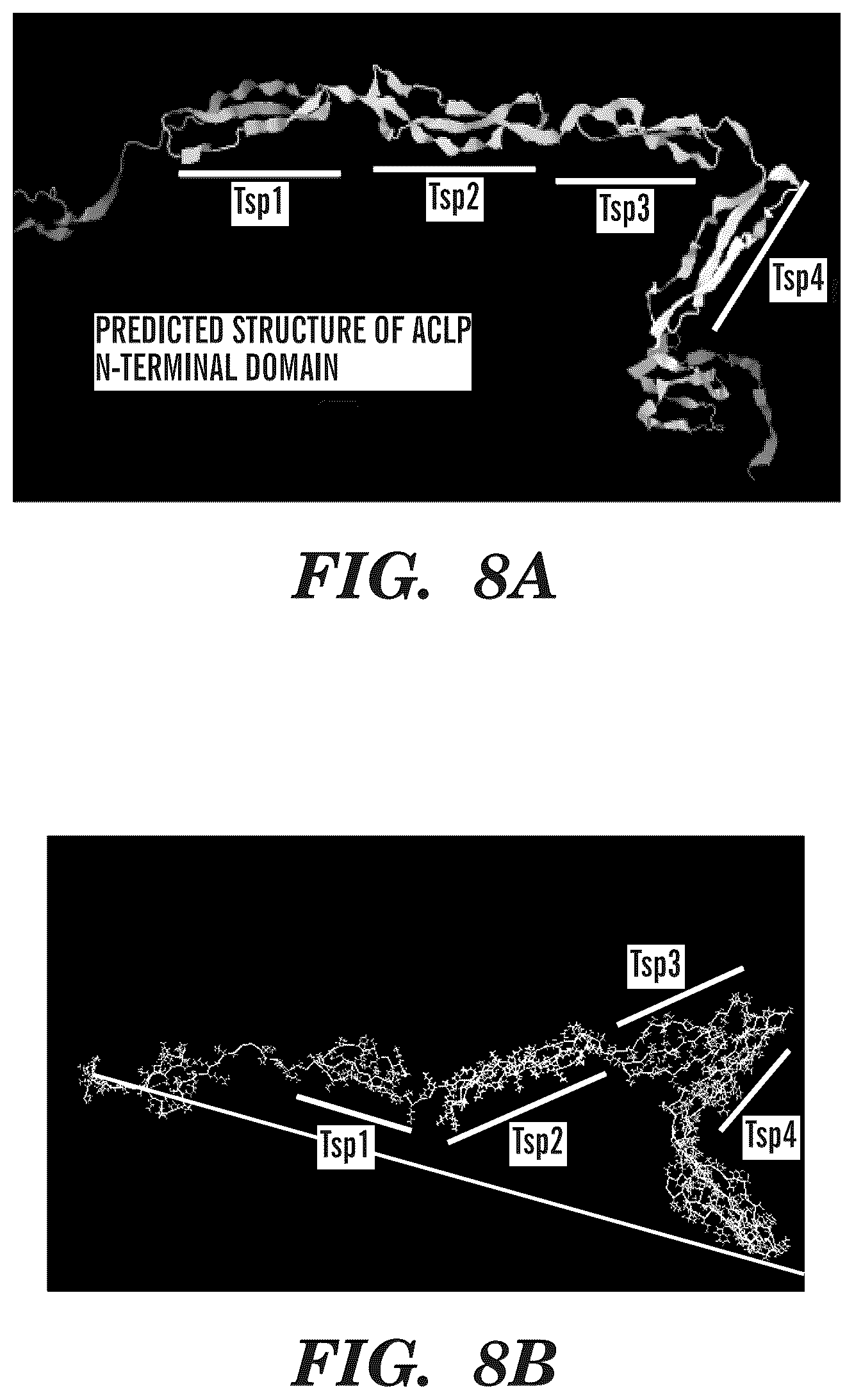 Patent US12139542 Figure 8 – Inhibitors of aortic carboxypeptidase-like protein (ACLP)