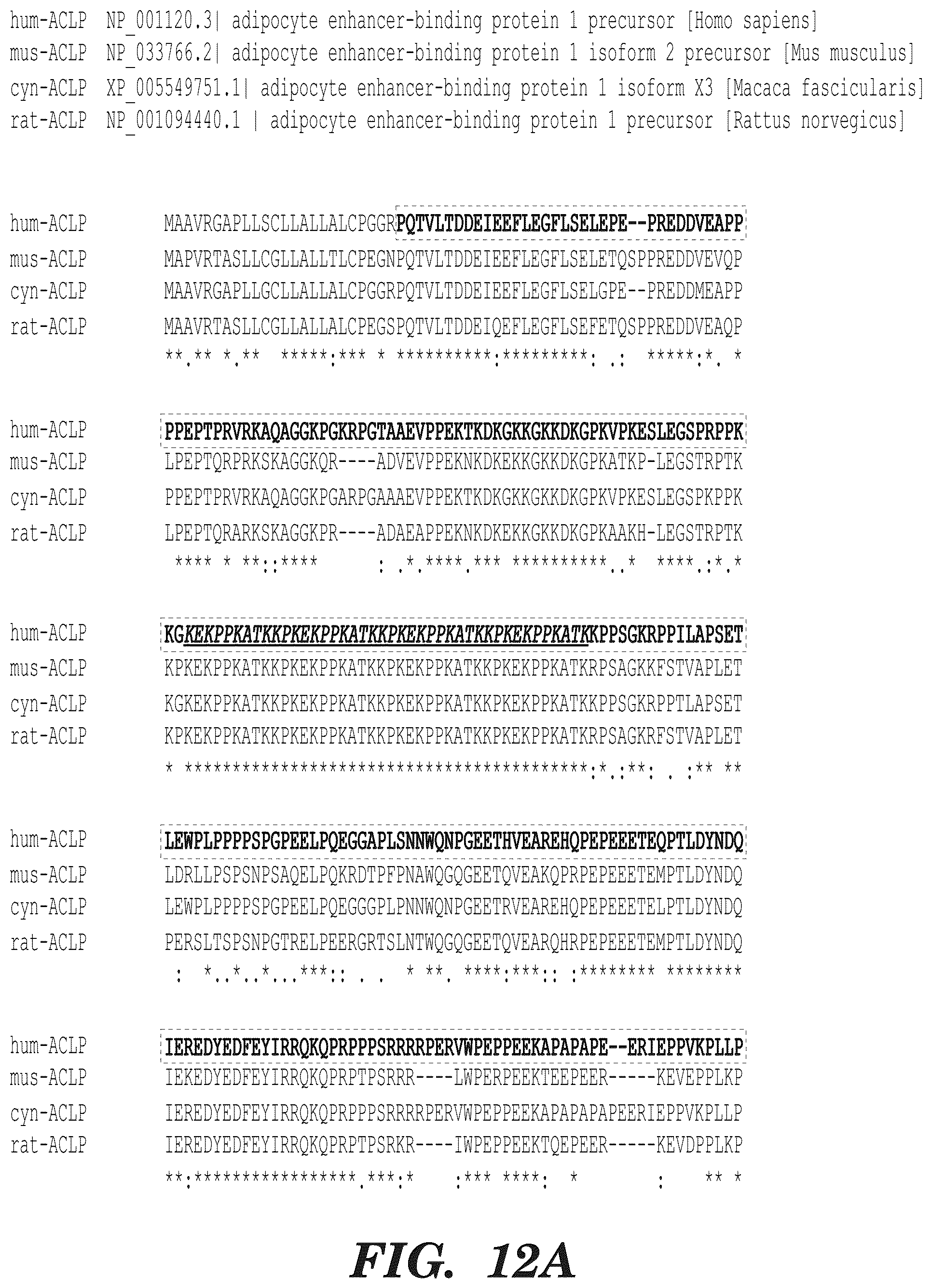 Patent US12139542 Figure 11 – Inhibitors of aortic carboxypeptidase-like protein (ACLP)