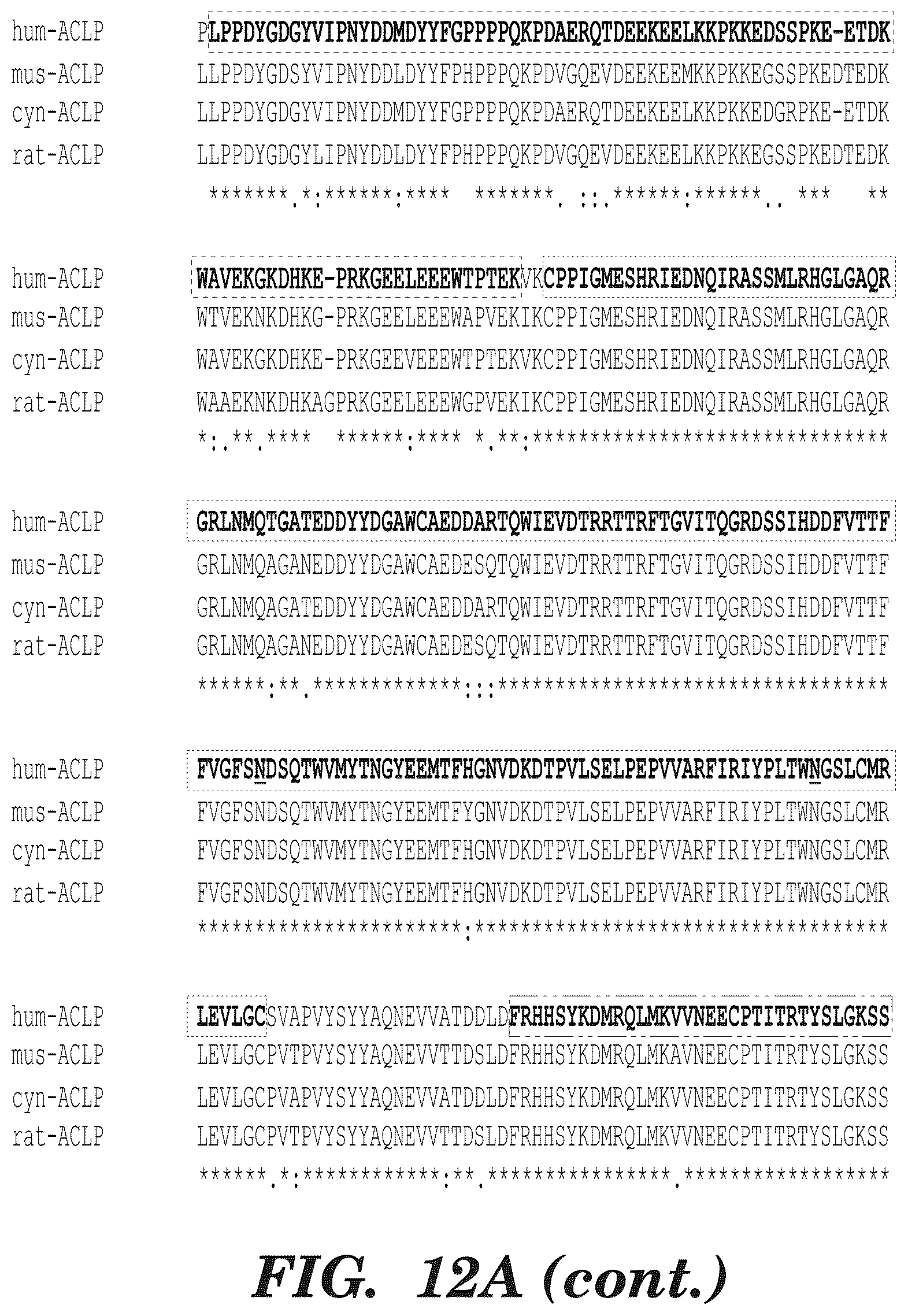 Patent US12139542 Figure 12 – Inhibitors of aortic carboxypeptidase-like protein (ACLP)