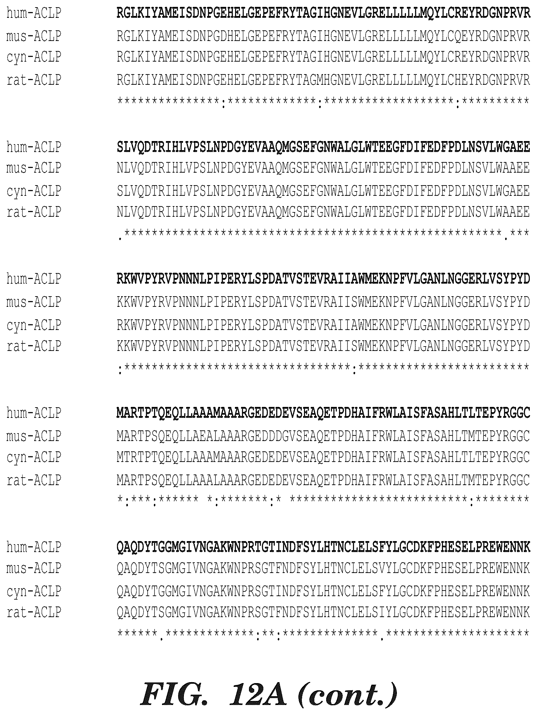 Patent US12139542 Figure 13 – Inhibitors of aortic carboxypeptidase-like protein (ACLP)