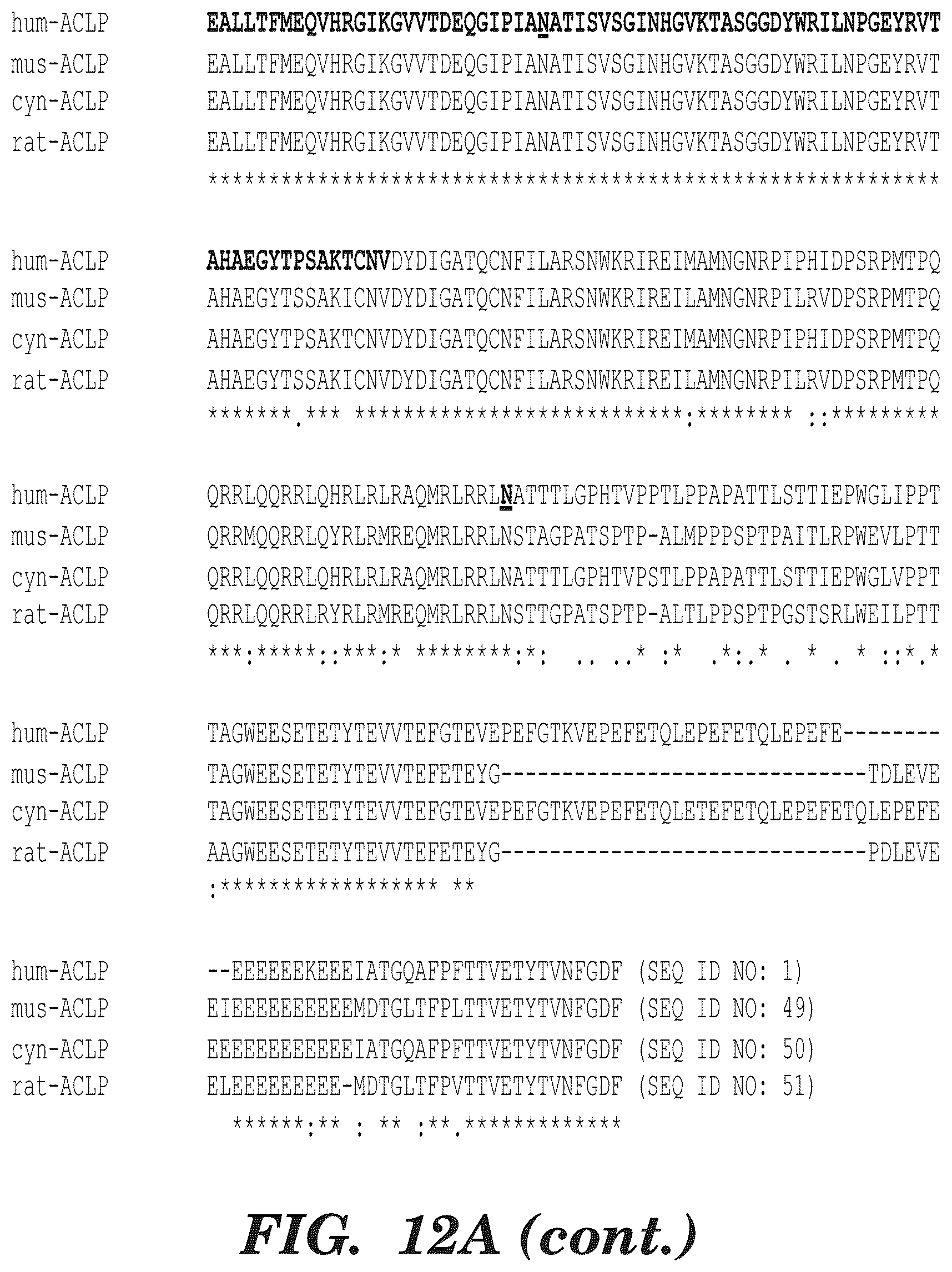 Patent US12139542 Figure 14 – Inhibitors of aortic carboxypeptidase-like protein (ACLP)