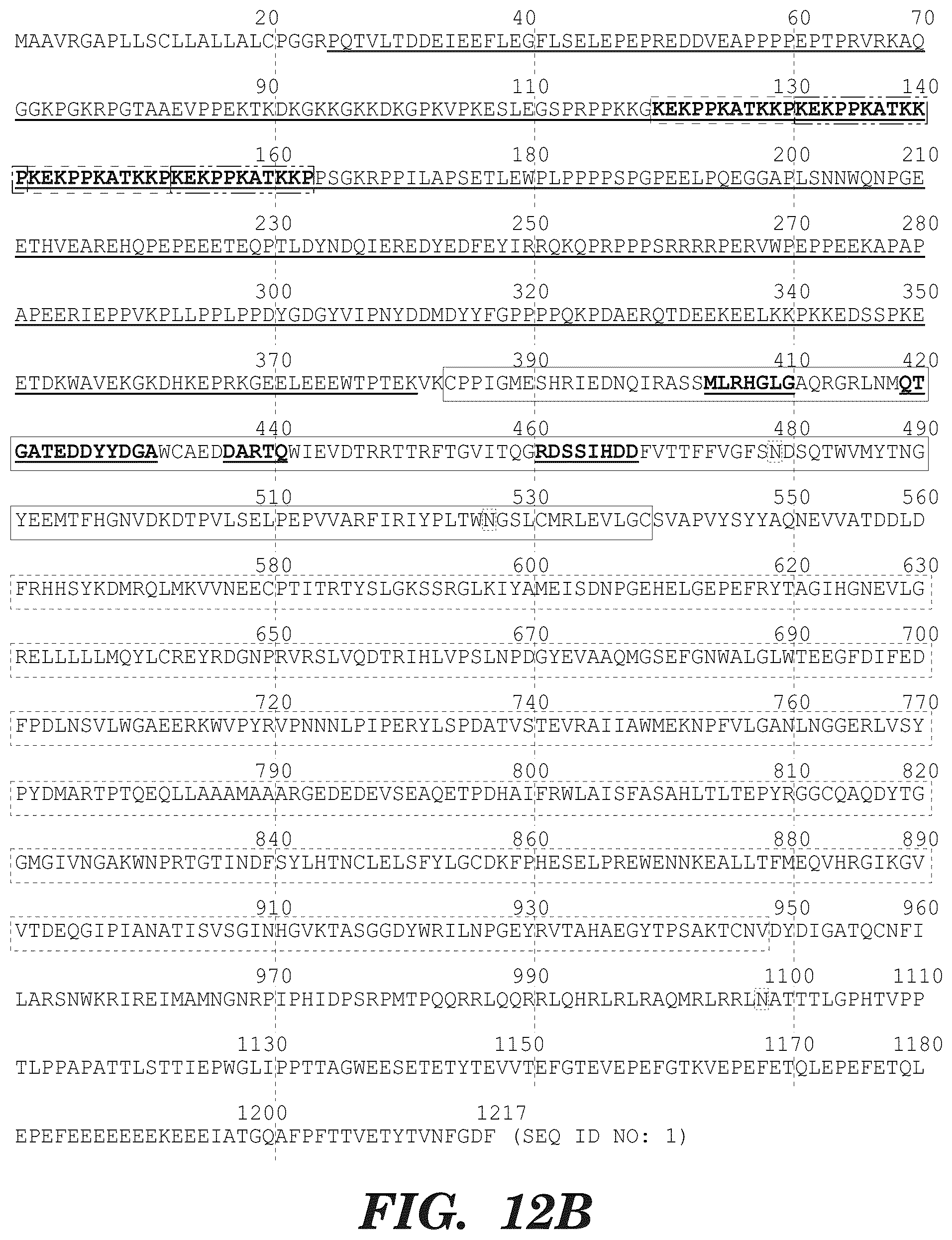 Patent US12139542 Figure 15 – Inhibitors of aortic carboxypeptidase-like protein (ACLP)