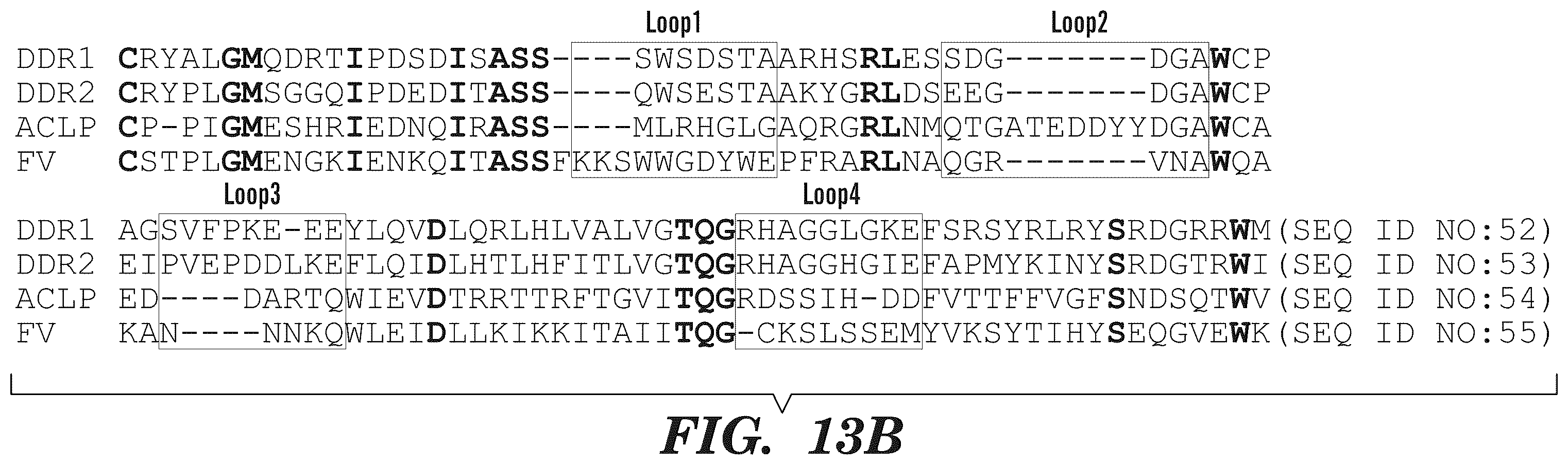 Patent US12139542 Figure 17 – Inhibitors of aortic carboxypeptidase-like protein (ACLP)