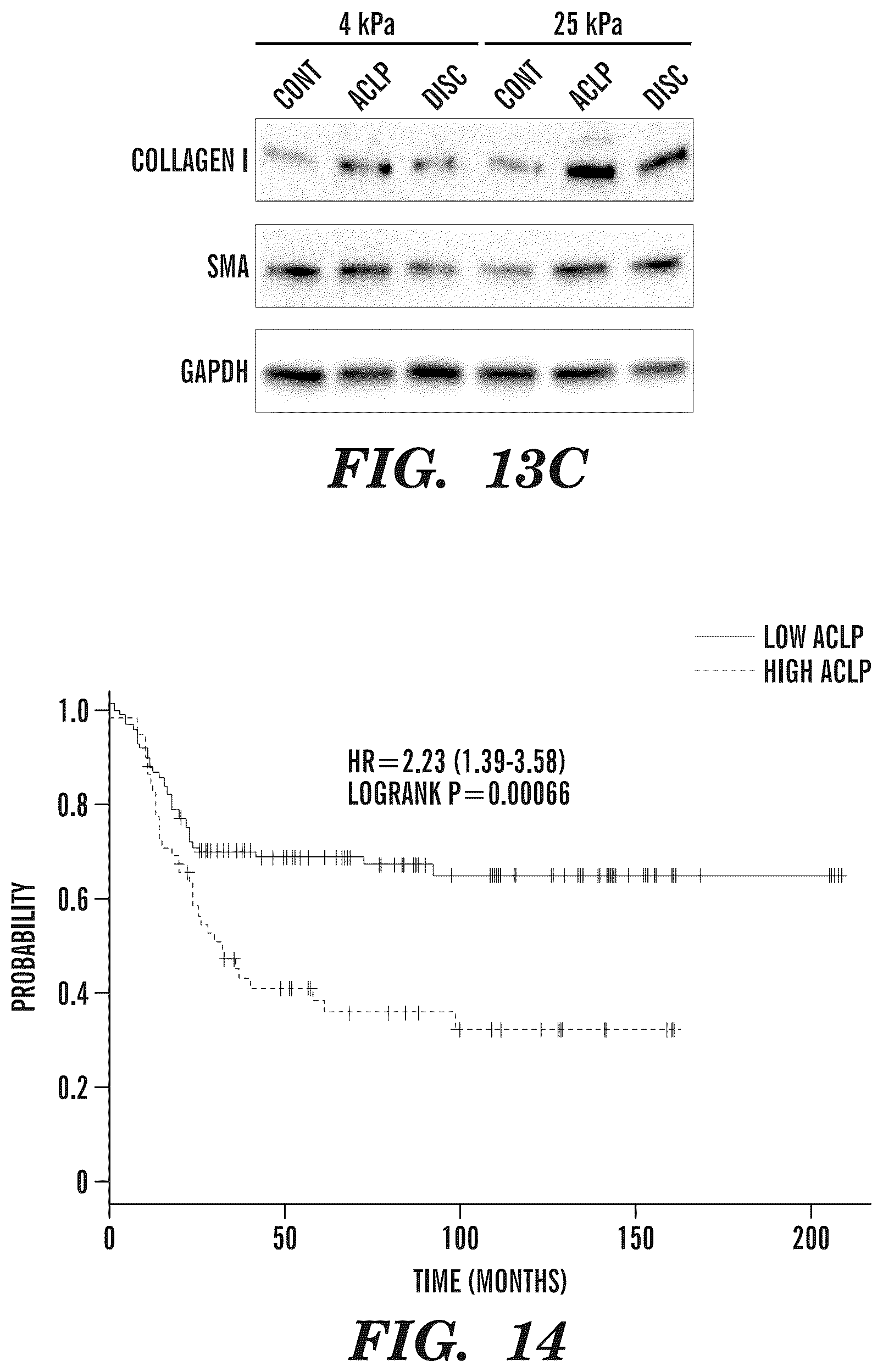 Patent US12139542 Figure 18 – Inhibitors of aortic carboxypeptidase-like protein (ACLP)
