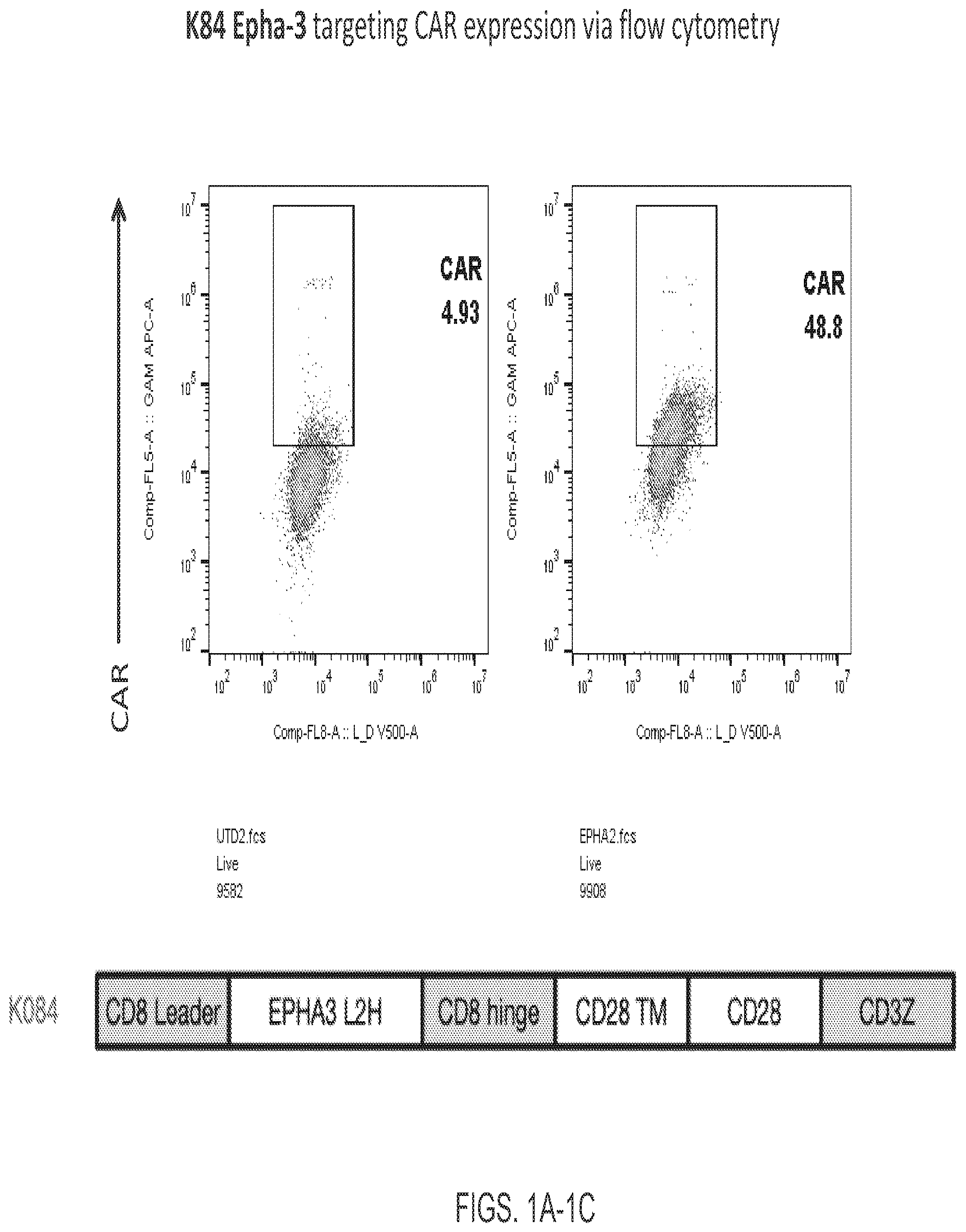Patent US12139544 Figure 1 – EphA3 directed CAR-T cells for treatment of tumors