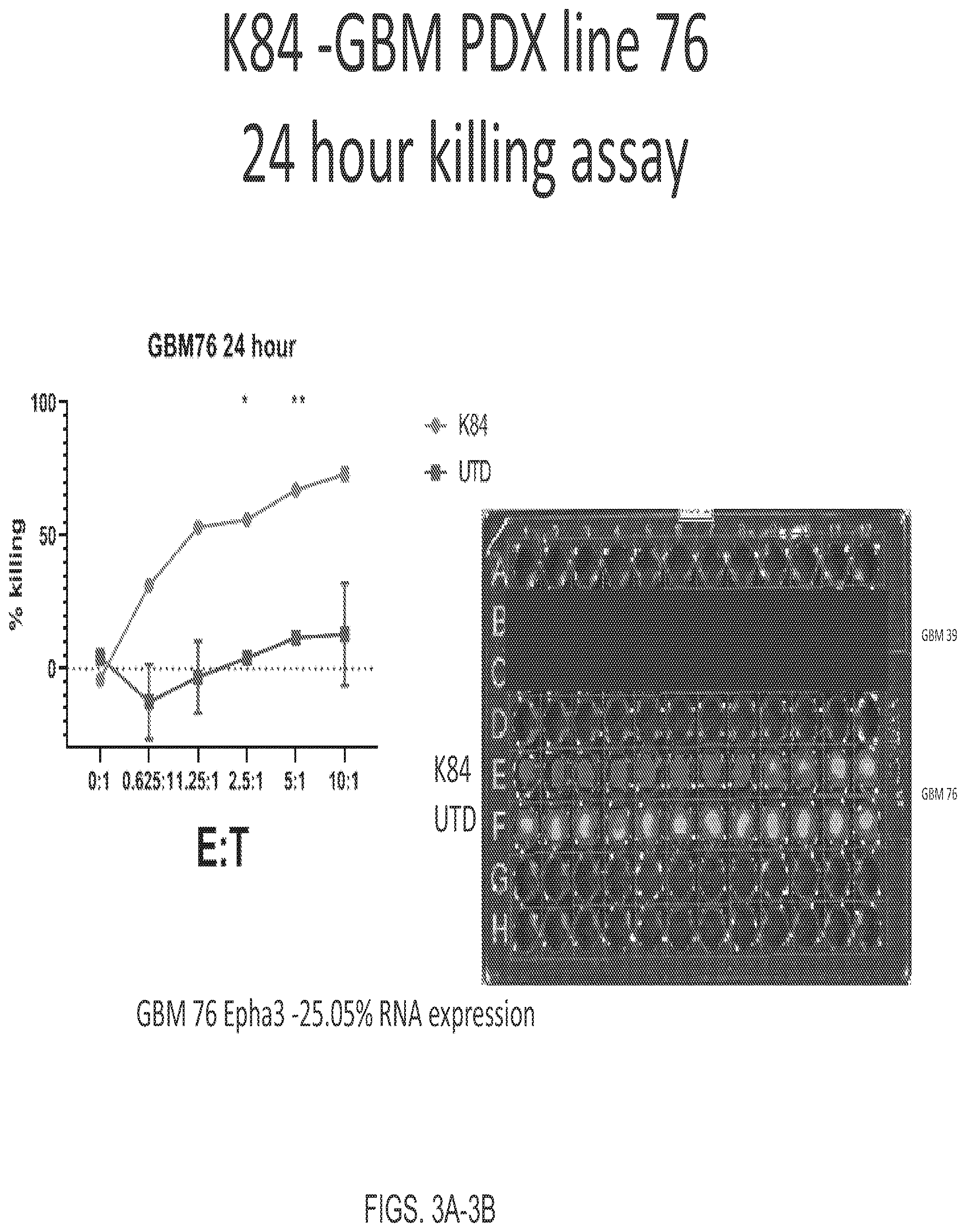 Patent US12139544 Figure 3 – EphA3 directed CAR-T cells for treatment of tumors