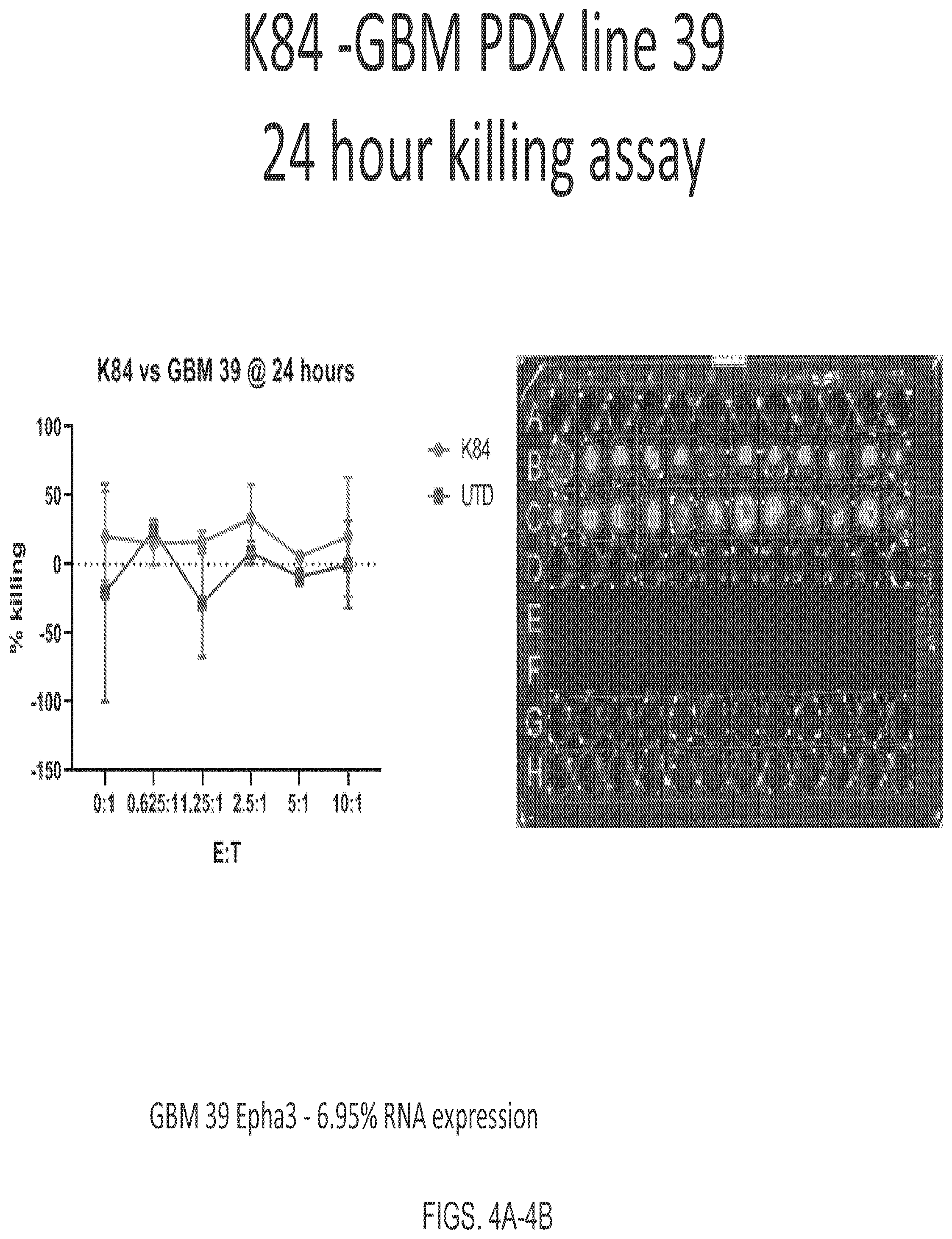 Patent US12139544 Figure 4 – EphA3 directed CAR-T cells for treatment of tumors