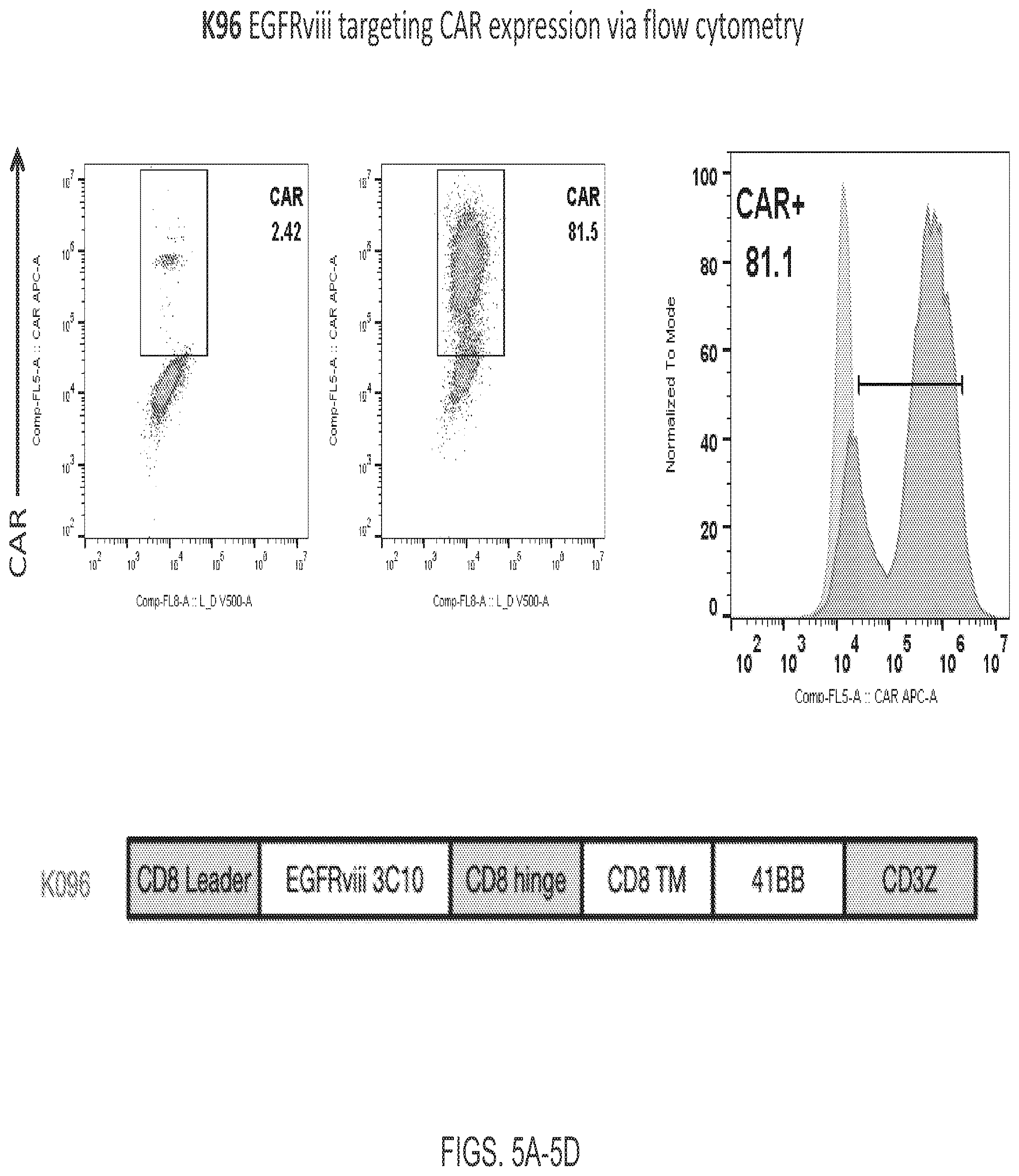 Patent US12139544 Figure 5 – EphA3 directed CAR-T cells for treatment of tumors