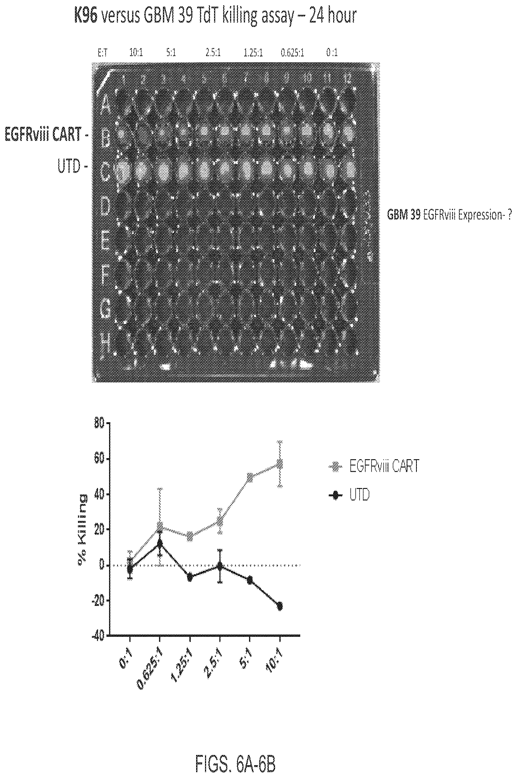 Patent US12139544 Figure 6 – EphA3 directed CAR-T cells for treatment of tumors