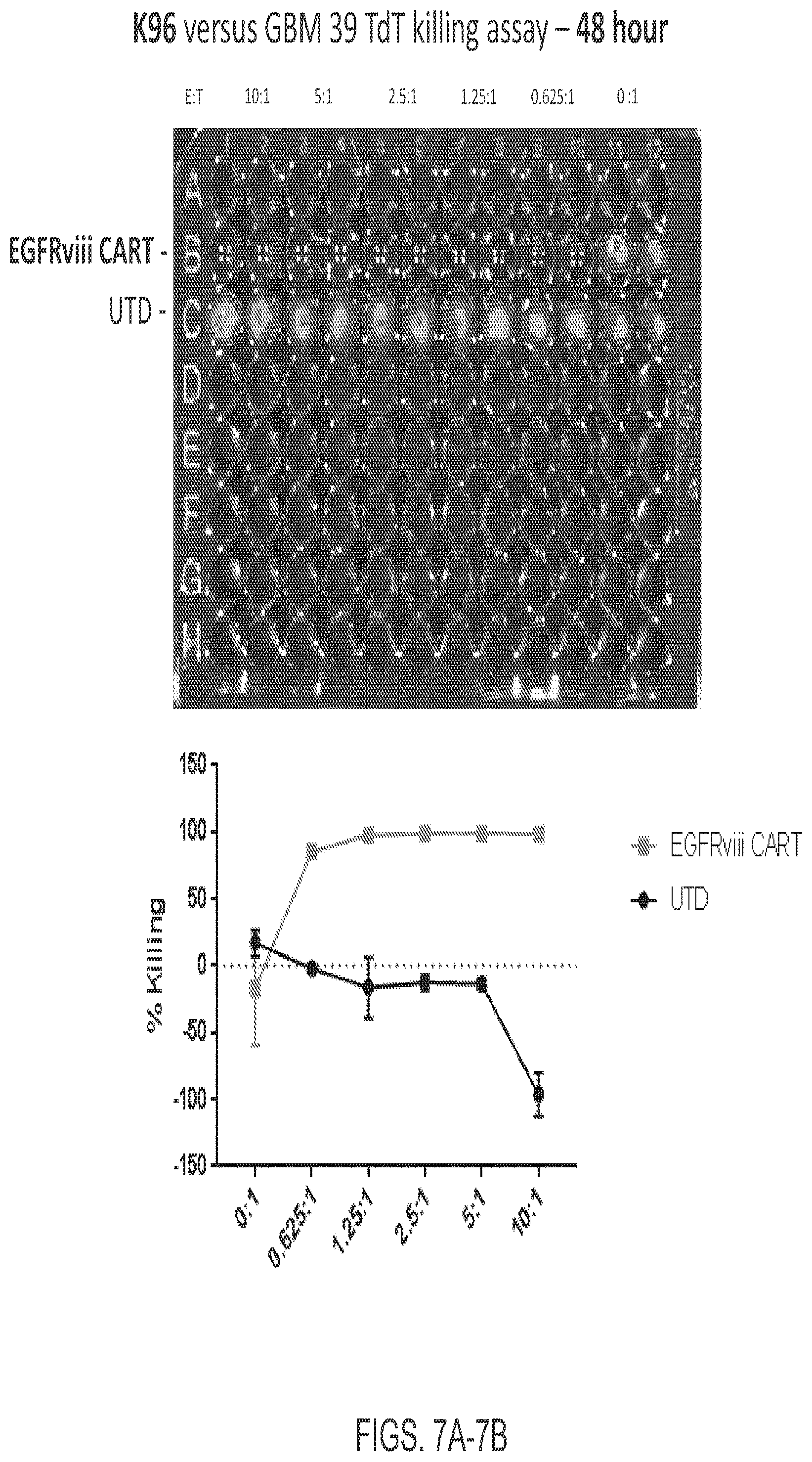 Patent US12139544 Figure 7 – EphA3 directed CAR-T cells for treatment of tumors