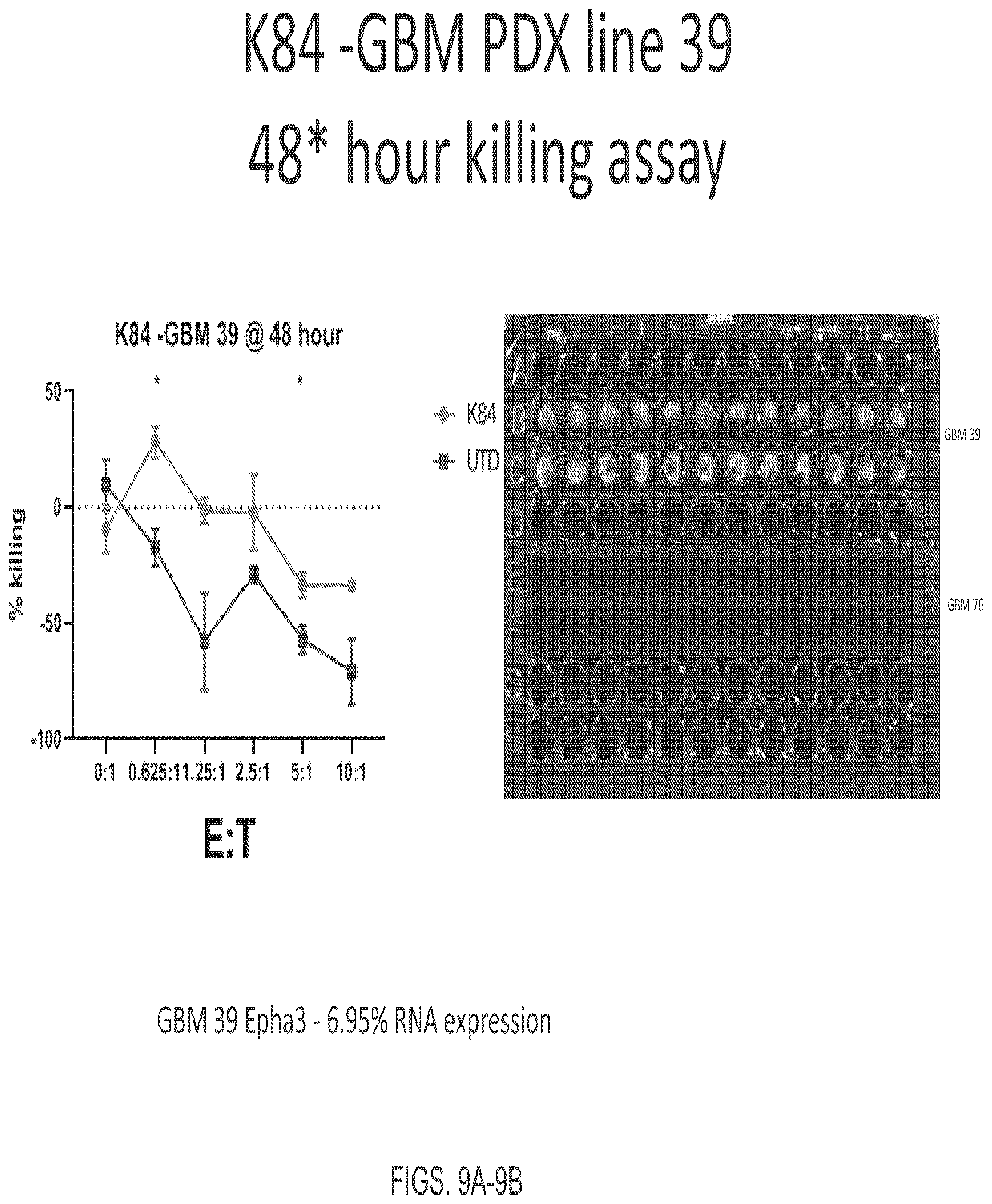 Patent US12139544 Figure 9 – EphA3 directed CAR-T cells for treatment of tumors