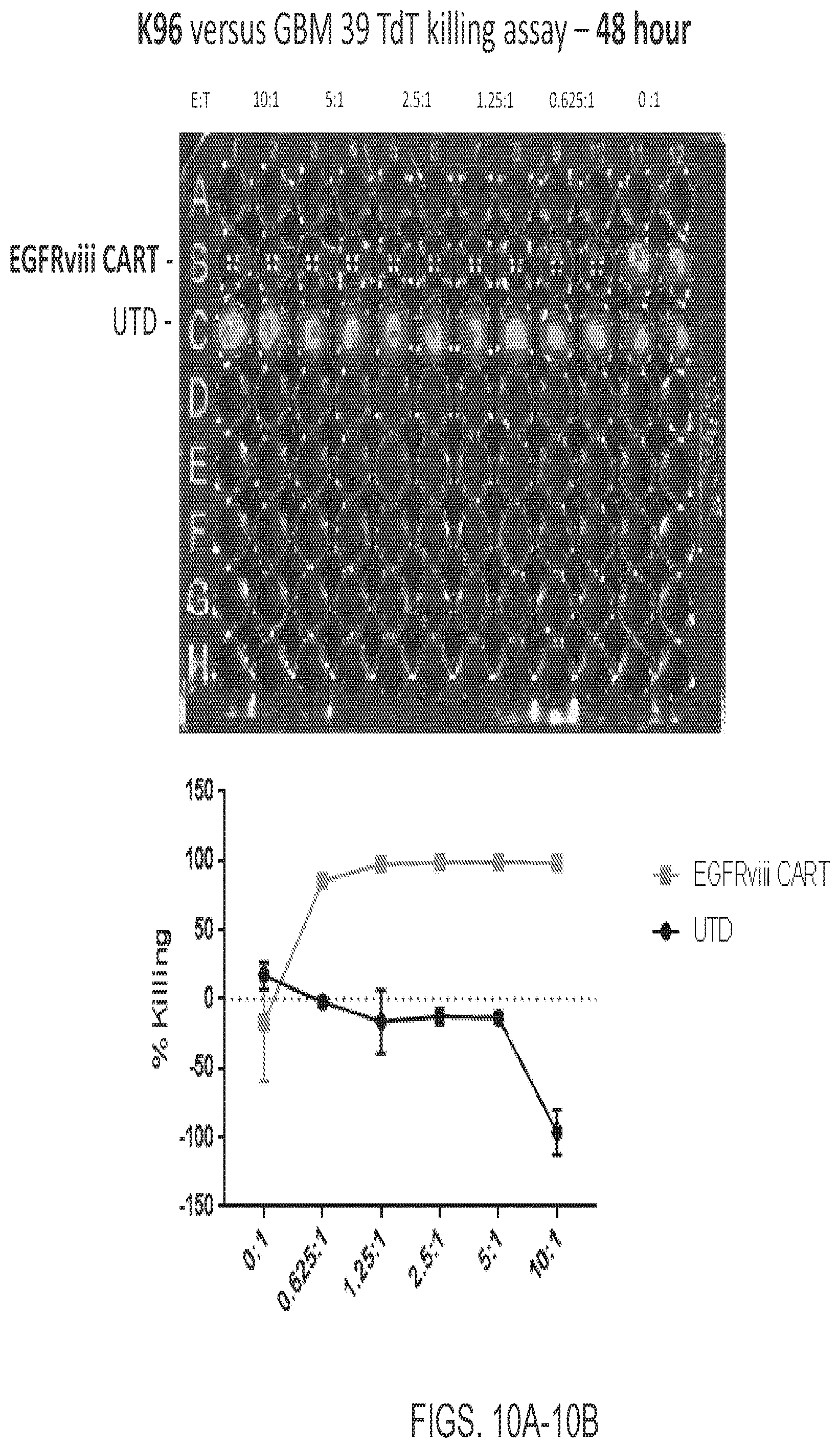 Patent US12139544 Figure 10 – EphA3 directed CAR-T cells for treatment of tumors