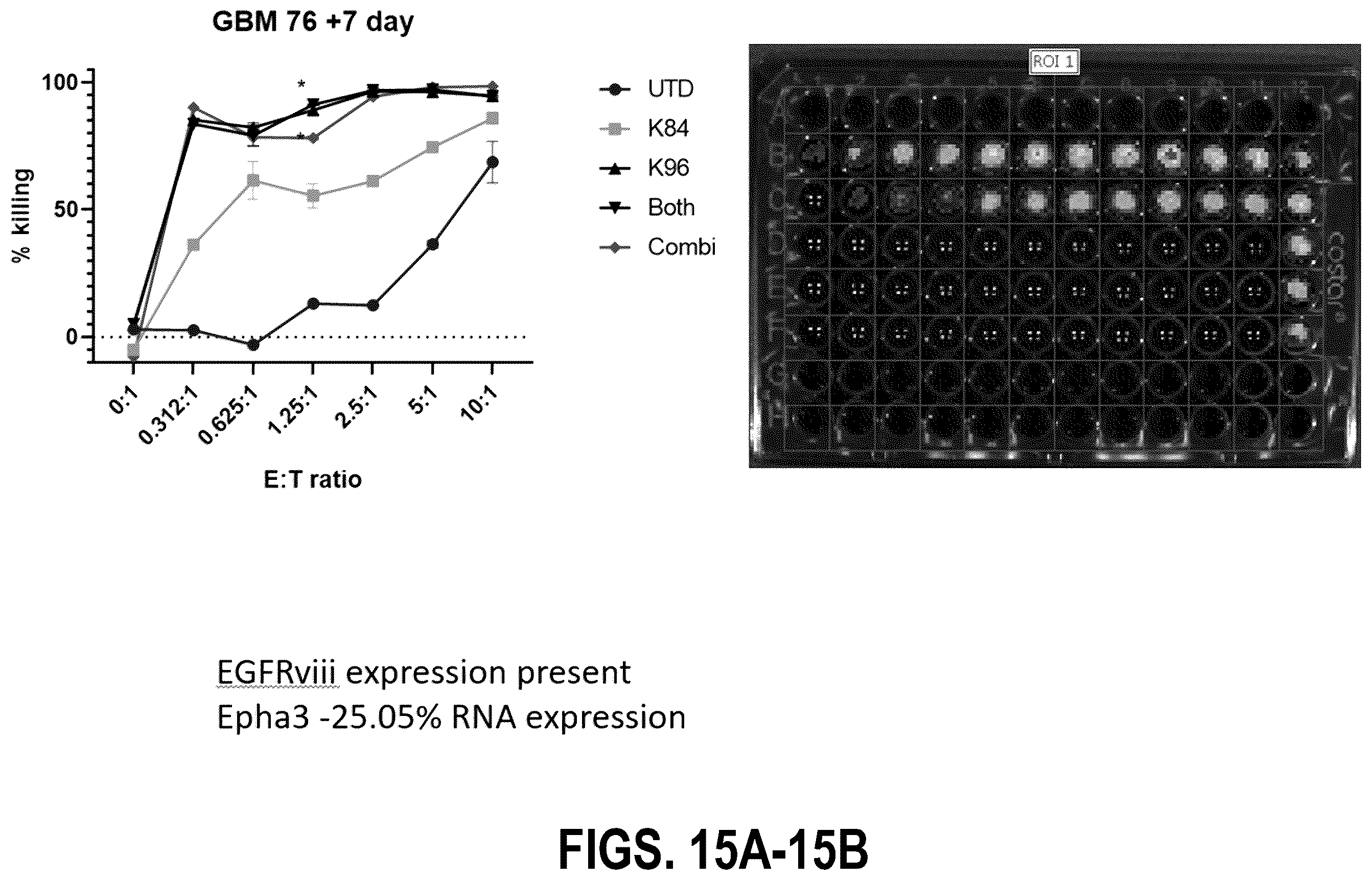 Patent US12139544 Figure 15 – EphA3 directed CAR-T cells for treatment of tumors