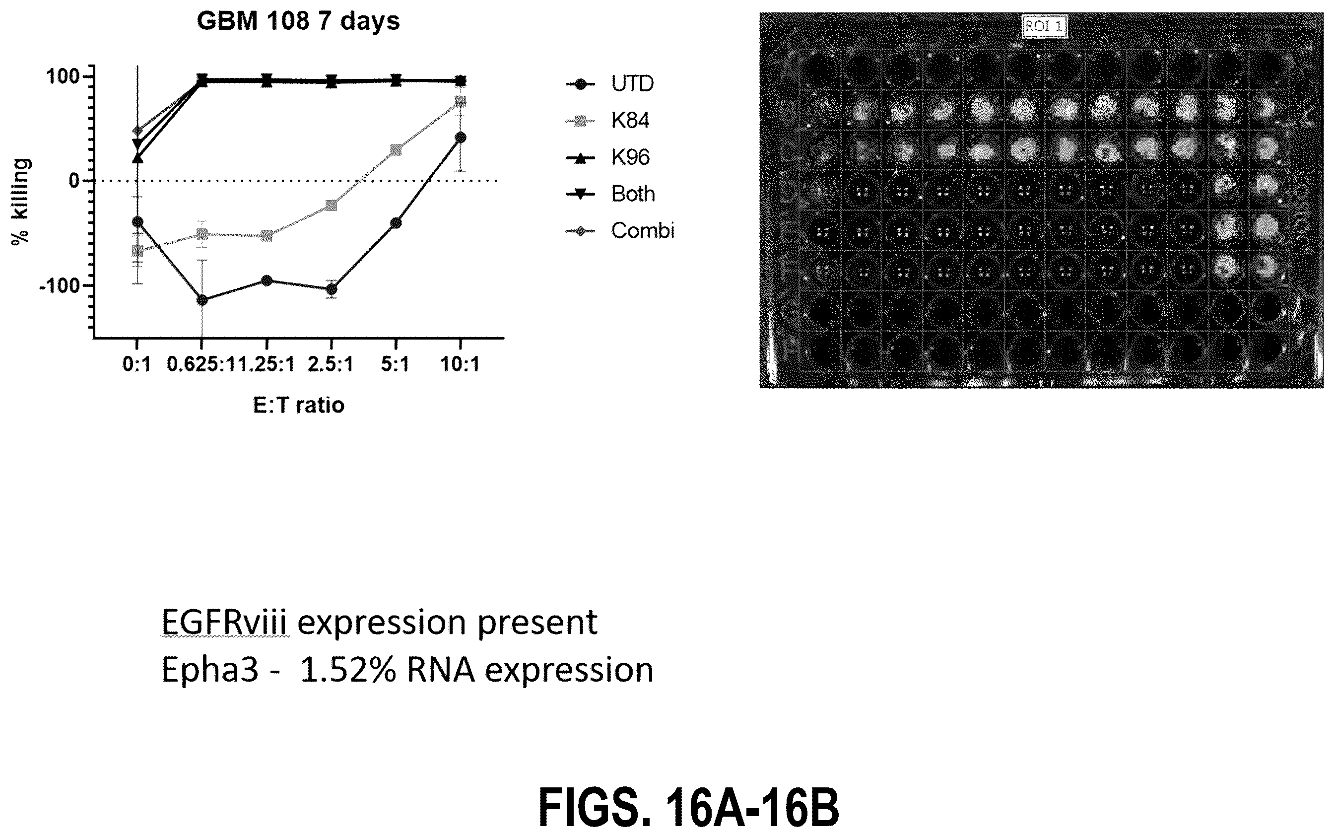 Patent US12139544 Figure 16 – EphA3 directed CAR-T cells for treatment of tumors