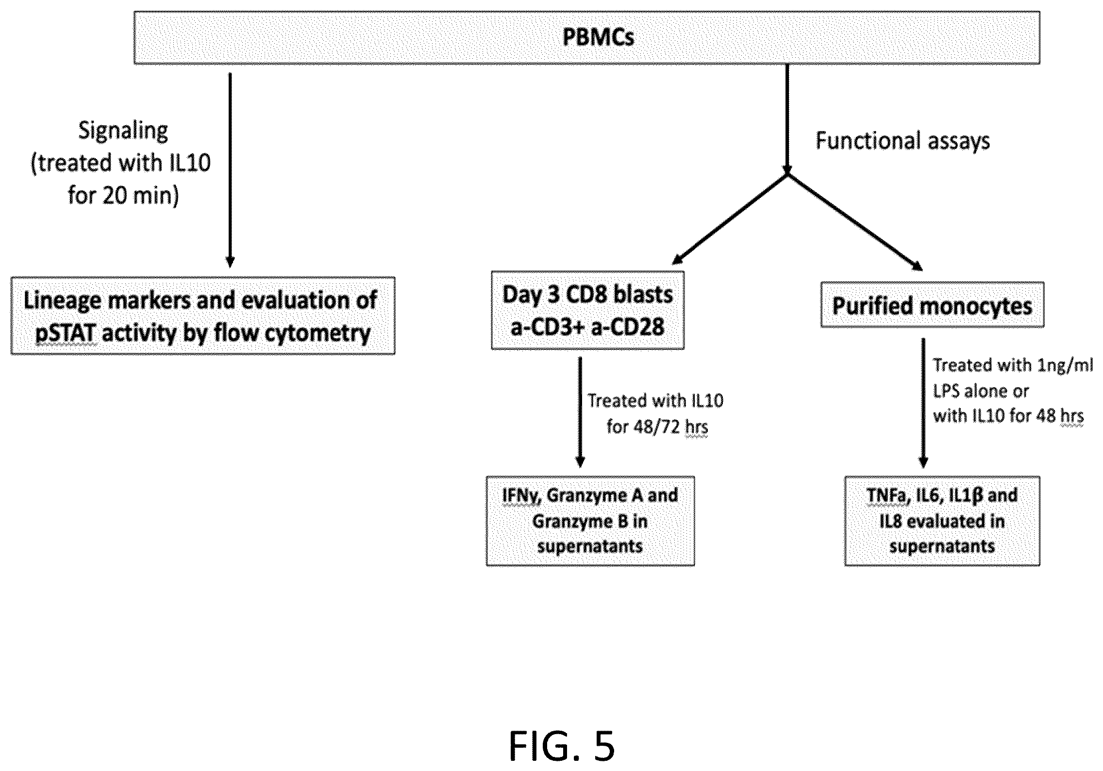 Patent US12139545 Figure 5 – IL10 receptor binding molecules and methods of use