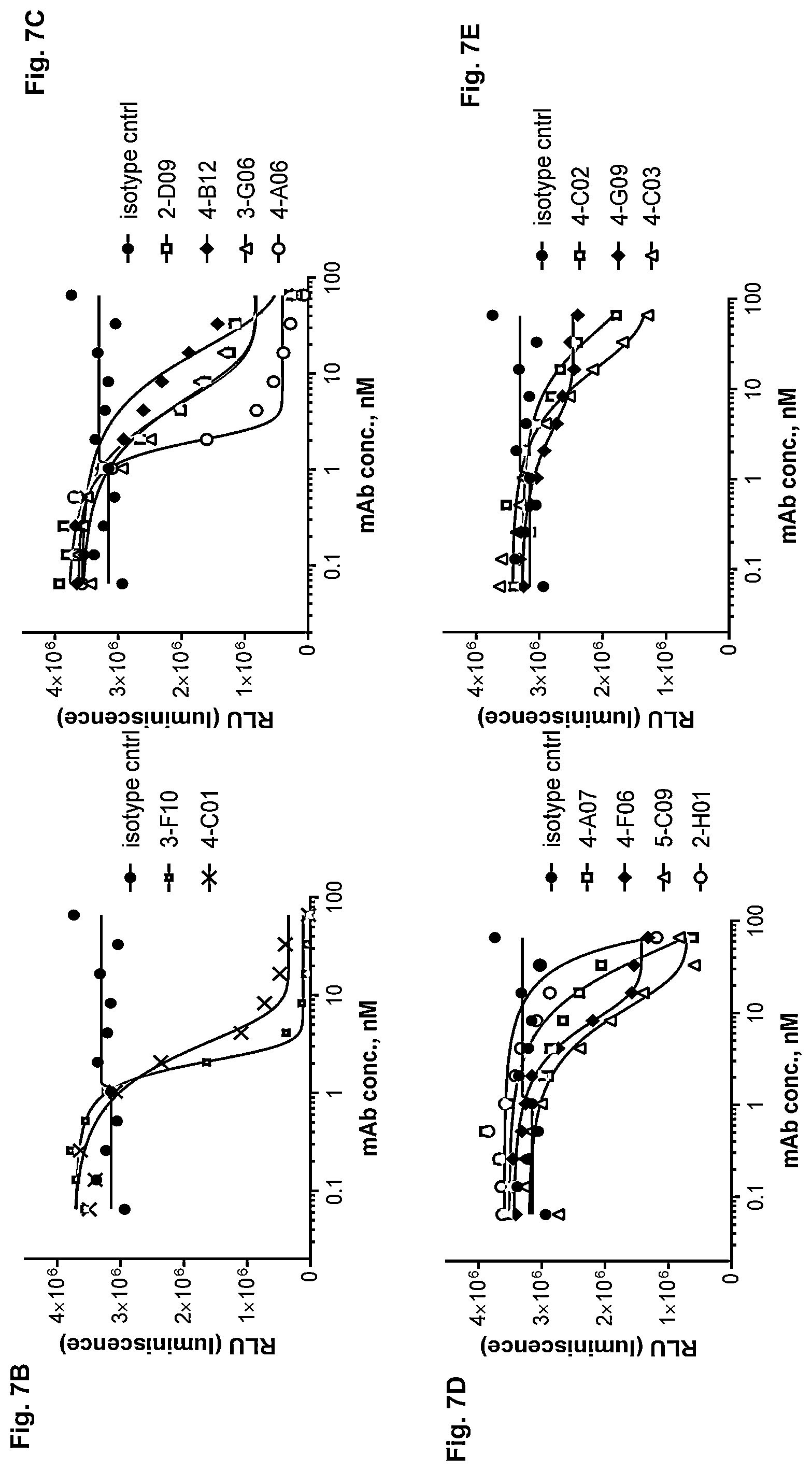 Patent US12139547 Figure 14 – Agonistic anti TNFR2 antibody molecules