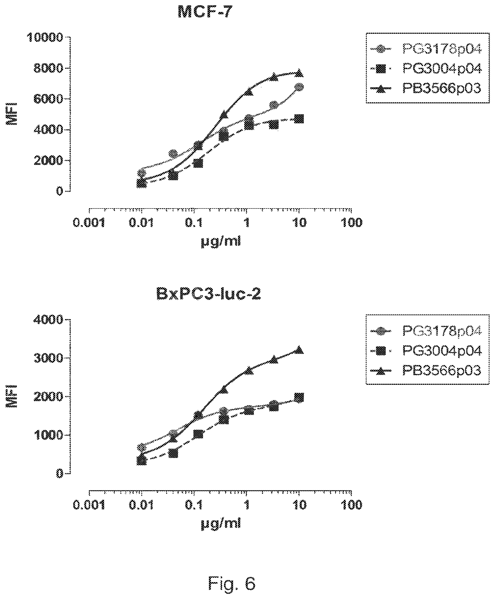 Patent US12139548 Figure 5 – Antibody that binds ErbB-2 and ErbB-3
