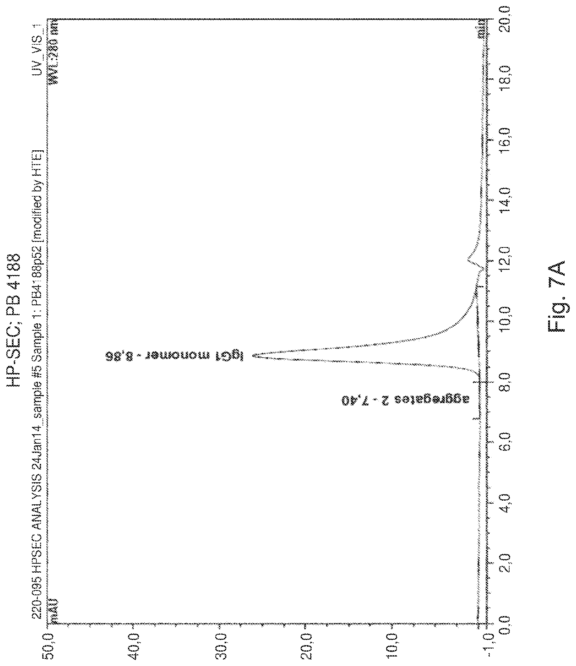 Patent US12139548 Figure 6 – Antibody that binds ErbB-2 and ErbB-3