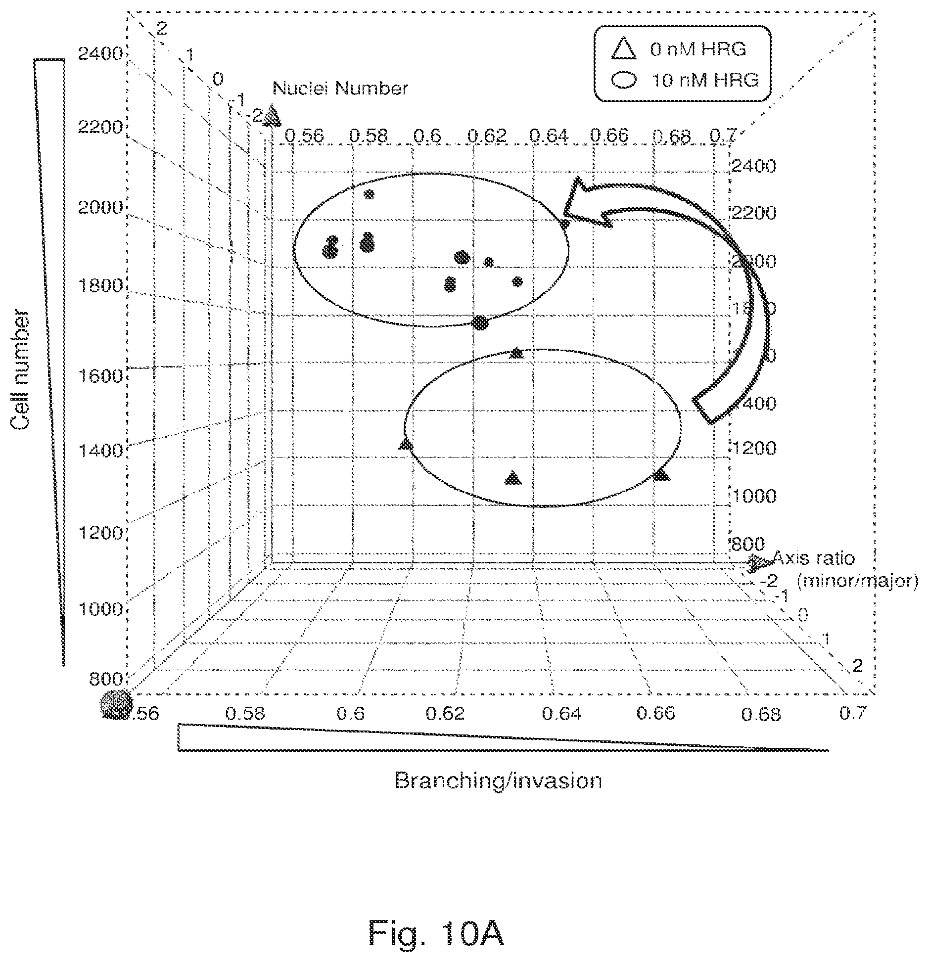 Patent US12139548 Figure 15 – Antibody that binds ErbB-2 and ErbB-3