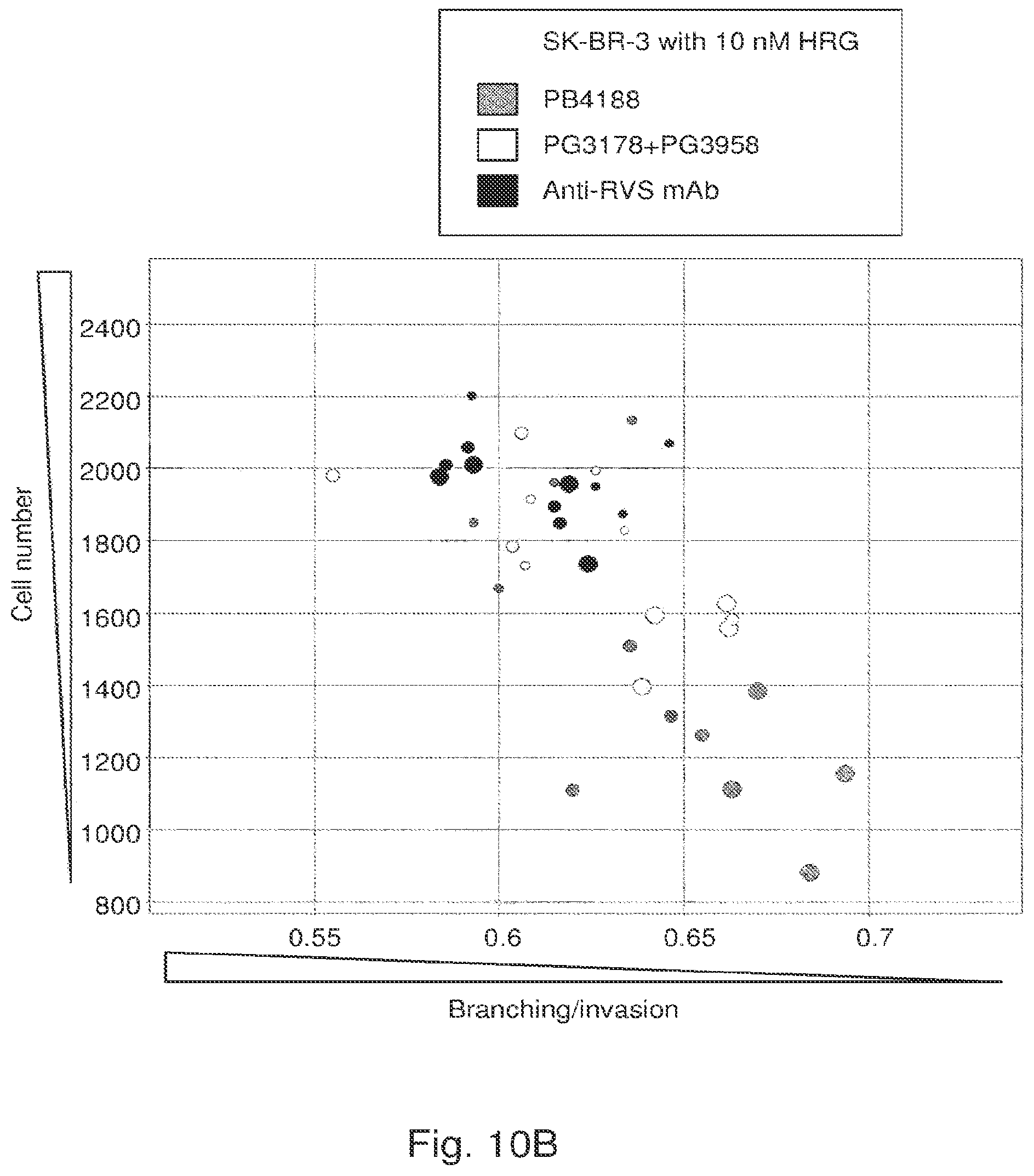 Patent US12139548 Figure 16 – Antibody that binds ErbB-2 and ErbB-3