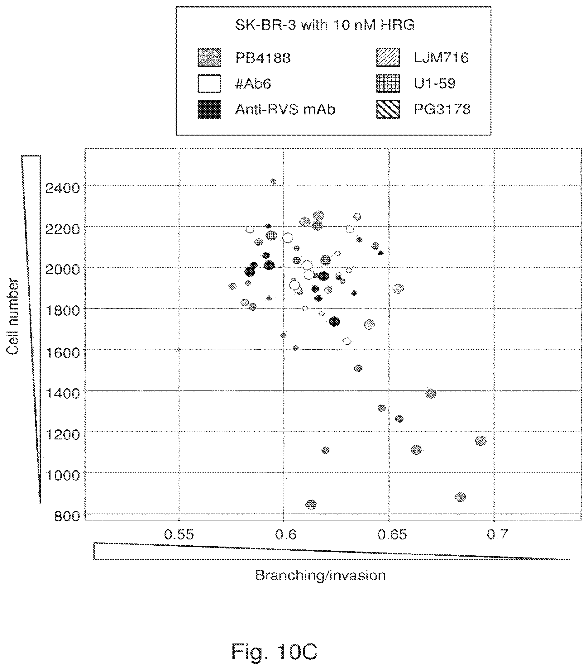 Patent US12139548 Figure 17 – Antibody that binds ErbB-2 and ErbB-3