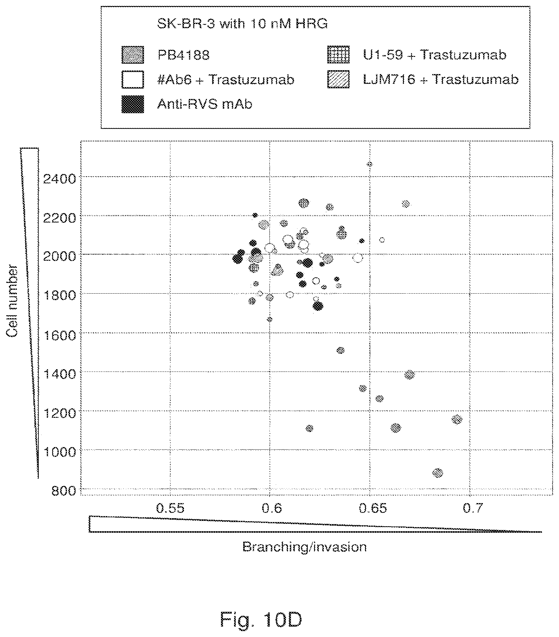 Patent US12139548 Figure 18 – Antibody that binds ErbB-2 and ErbB-3