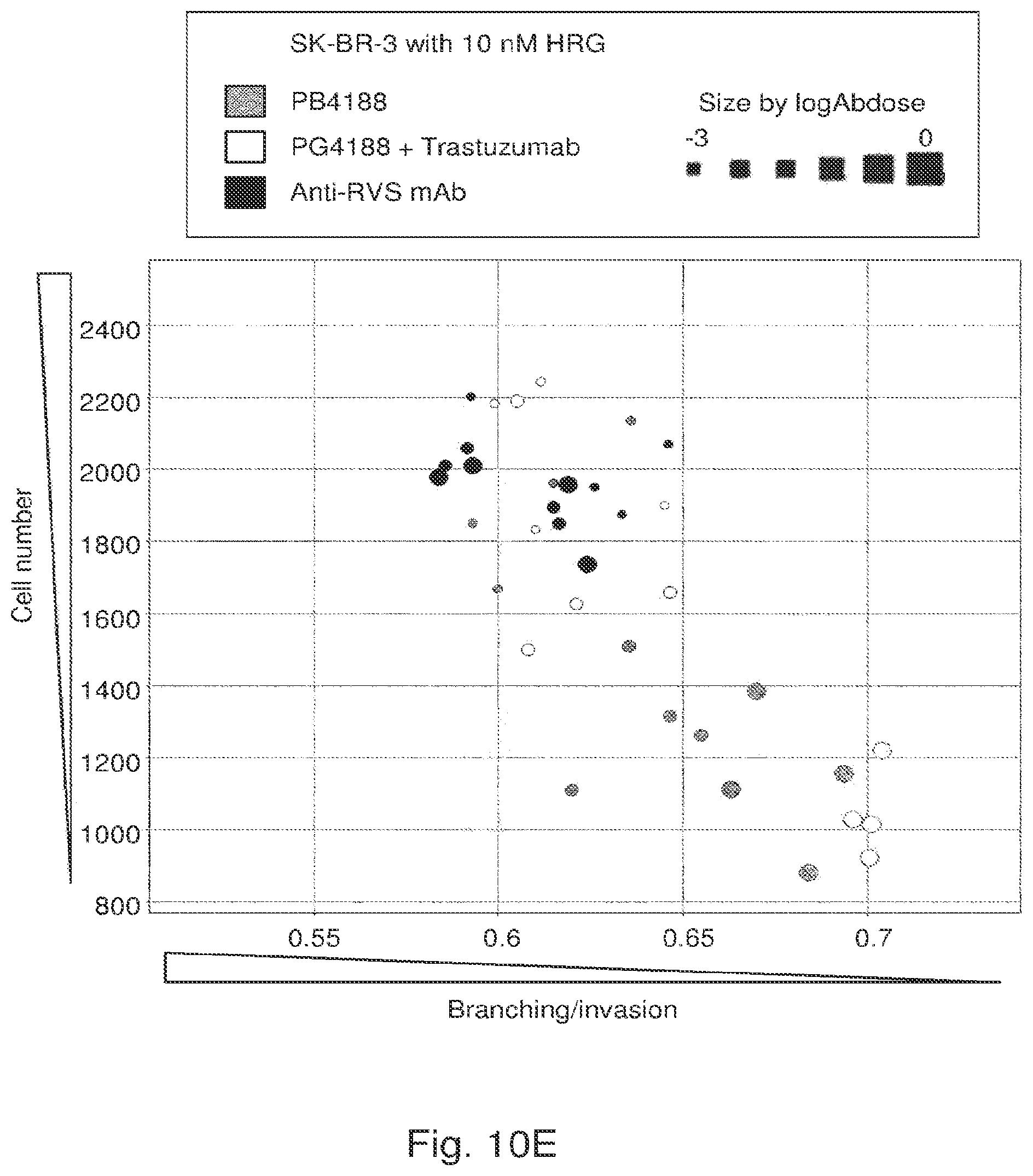 Patent US12139548 Figure 19 – Antibody that binds ErbB-2 and ErbB-3
