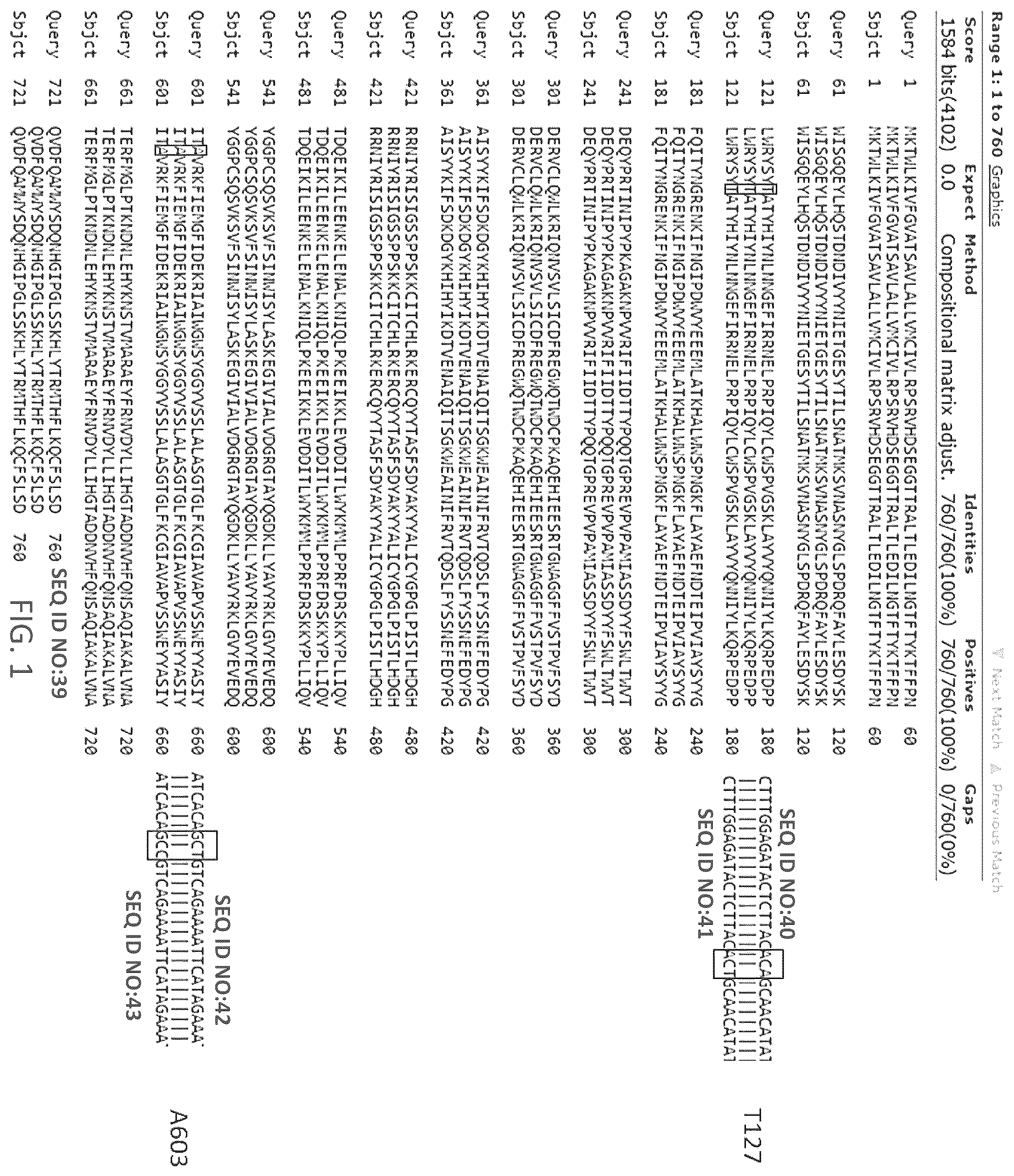 Patent US12139550 Figure 1 – Monoclonal antibody against canine fibroblast activation protein that cross-reacts with mouse and human fibroblast activation protein (FAP)